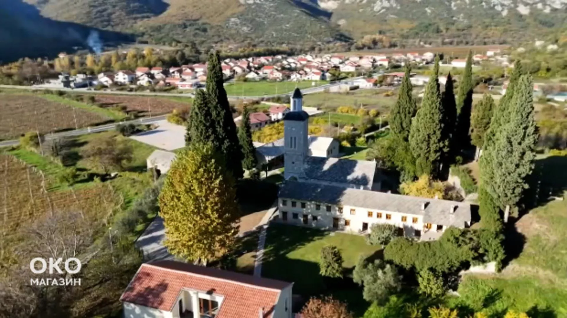 Oko magazin: Žitomislić - kriva palma, prava istorija