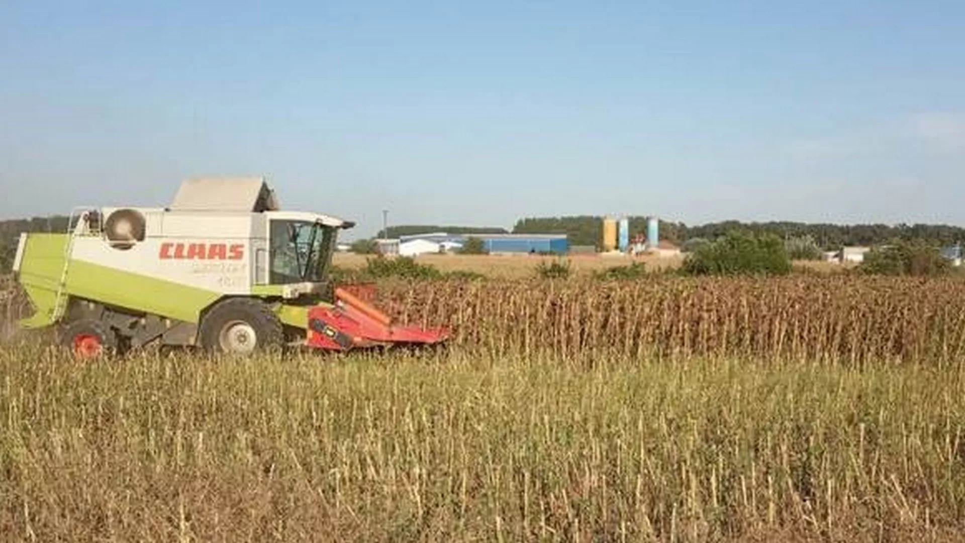 Nedeljom za selo – Žetva soje