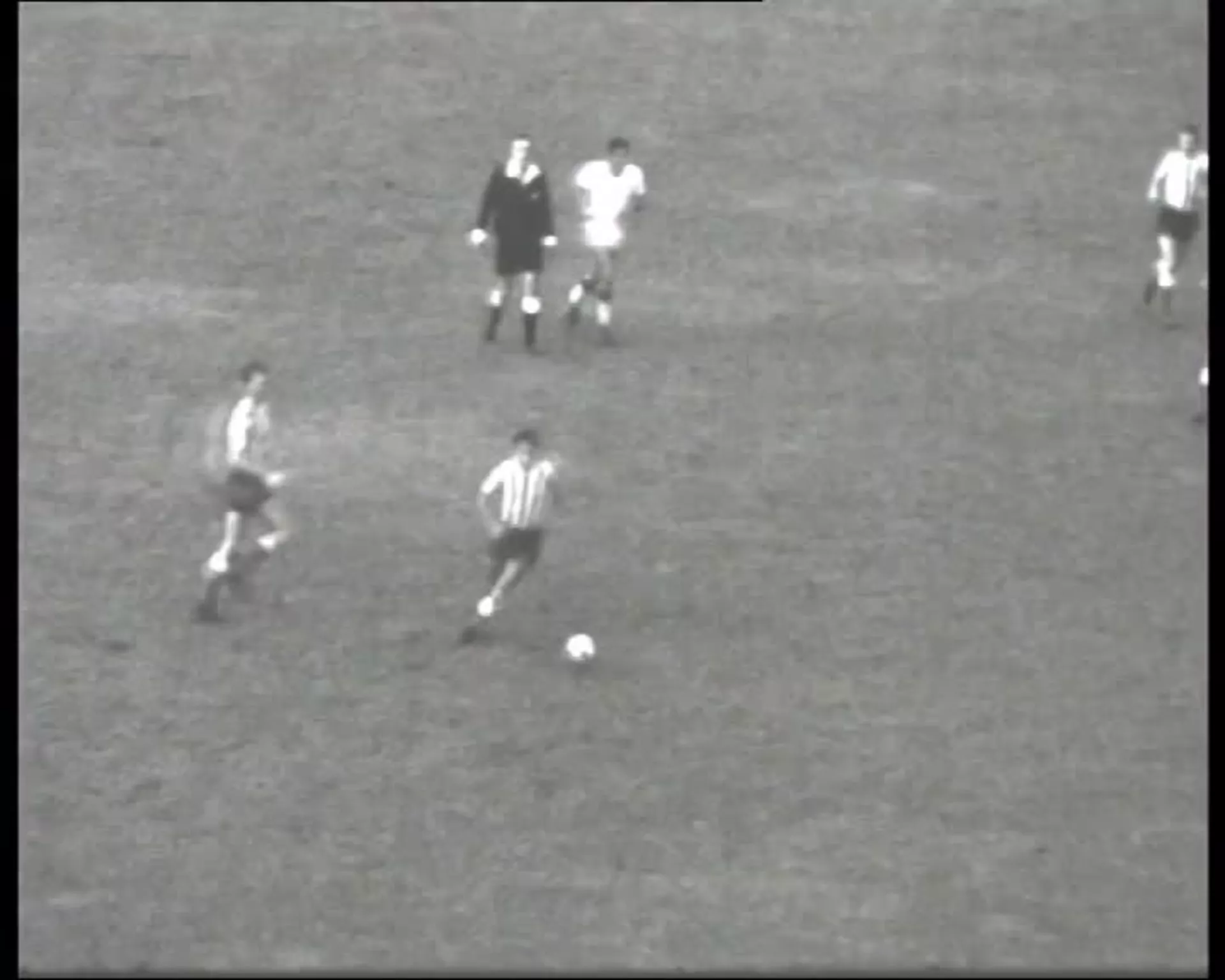 Fudbal: OFK Beograd – Dinamo Zagreb (1963.)