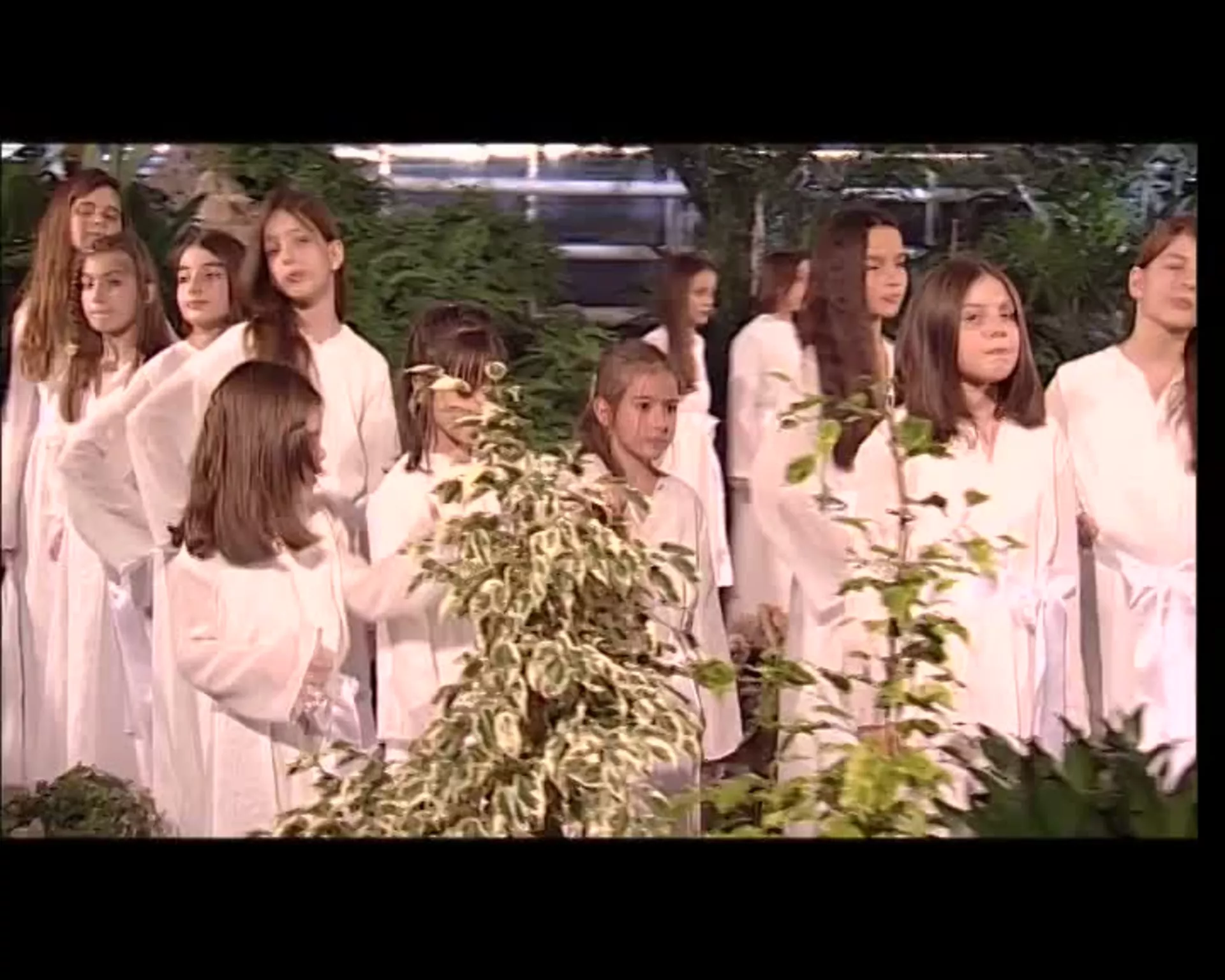 Hor Kolibri (2005)