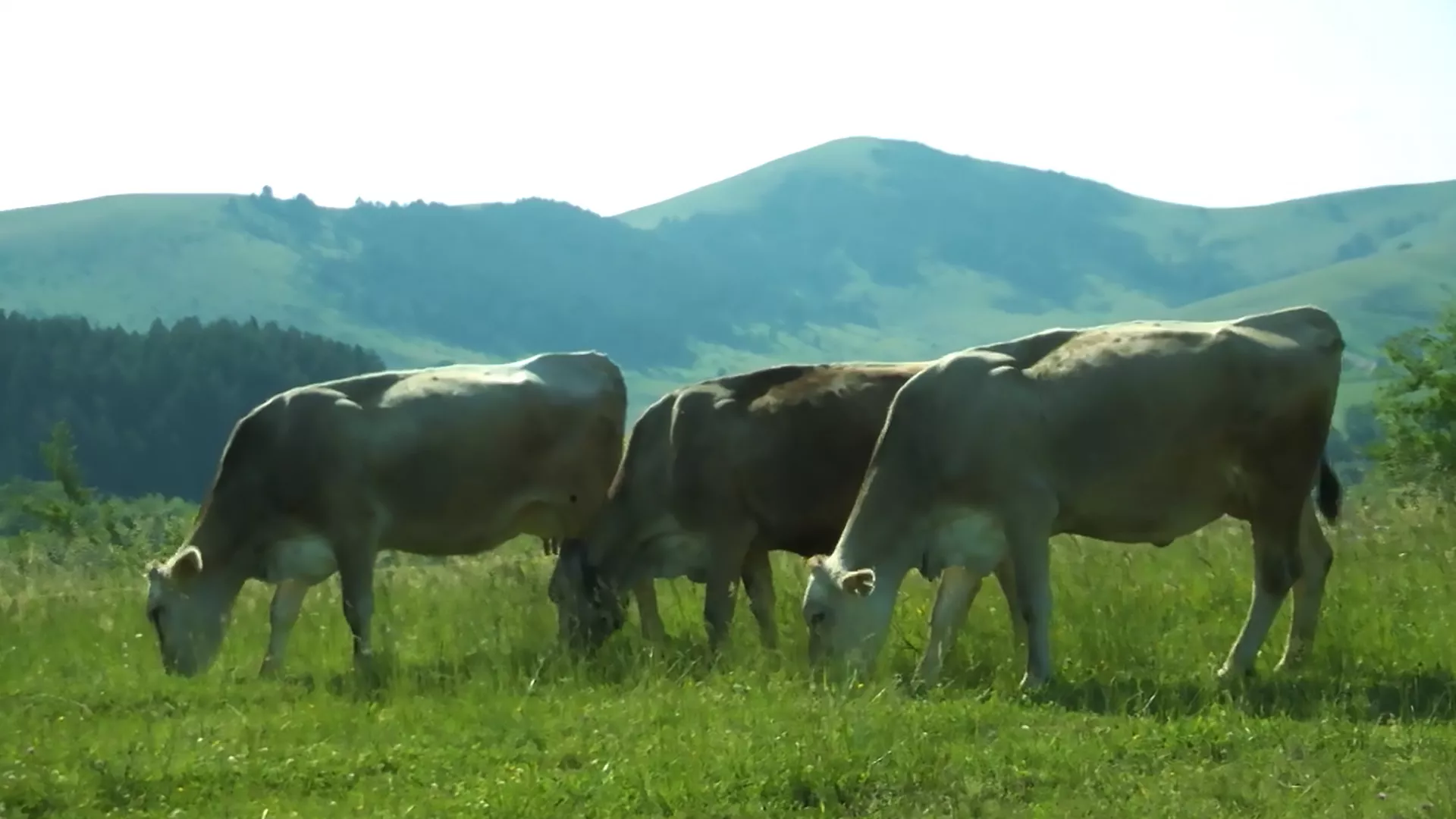 Moja lepa Srbija: Čajetina, 2. deo