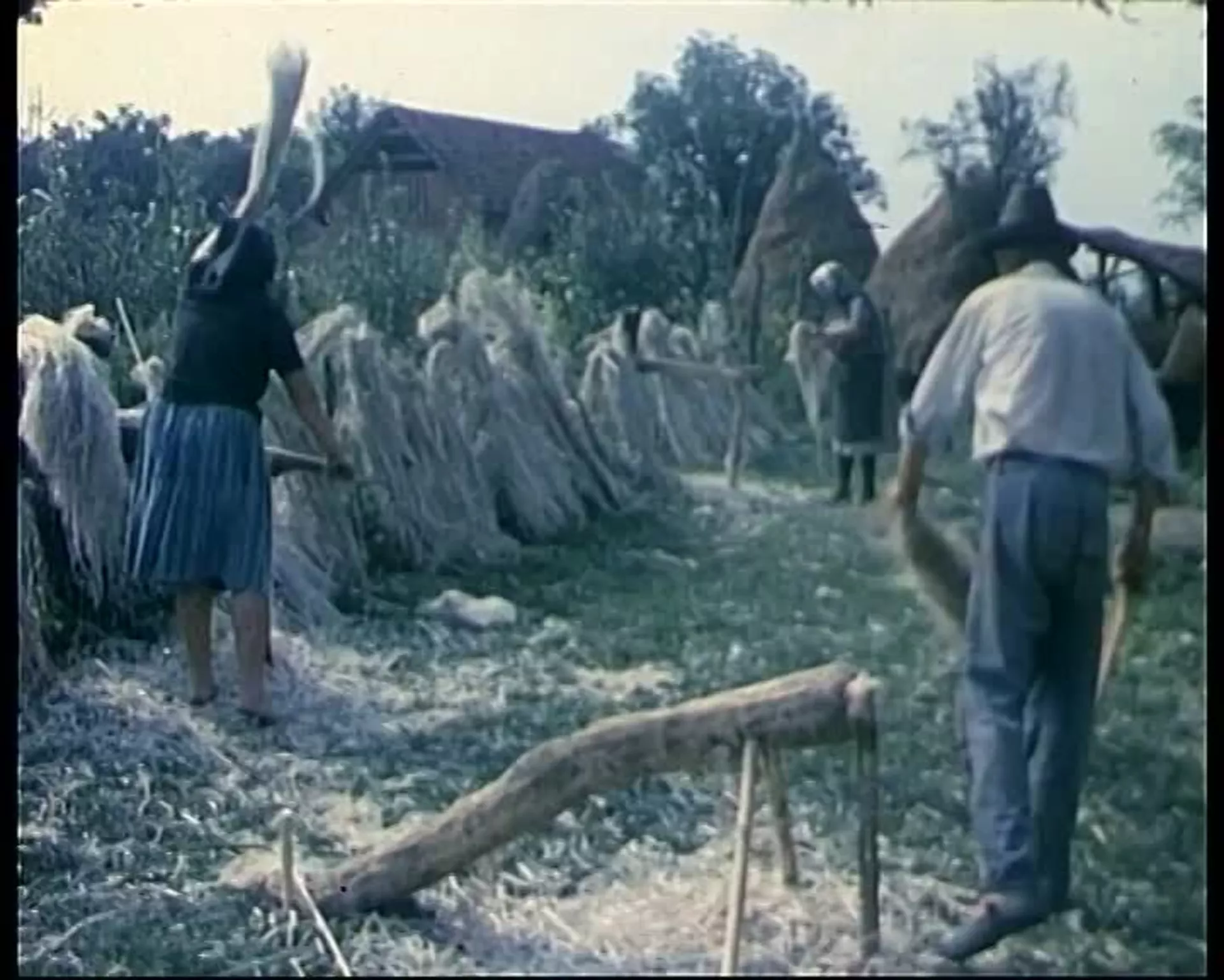 Ljudi govore - Priča o konoplji, 2. deo