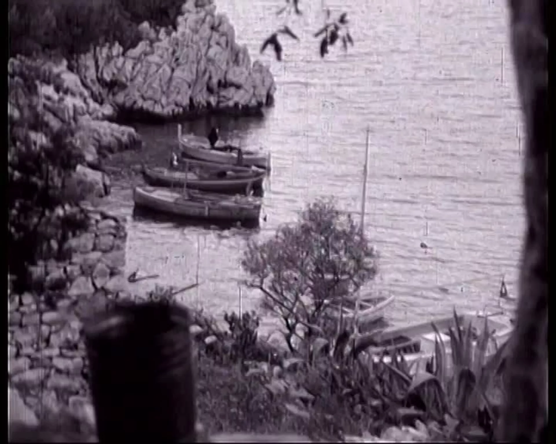 Dvogled:  Korčula, 1. deo