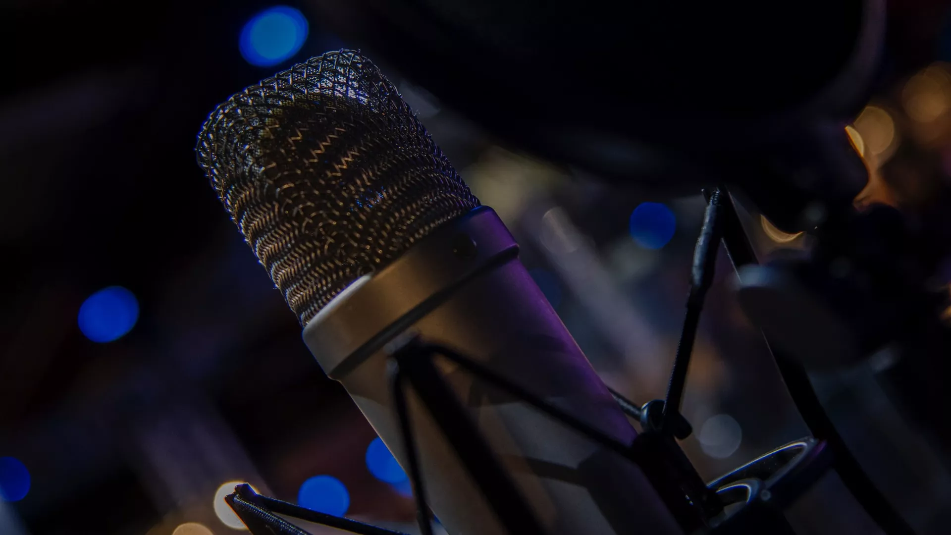 Radijsko predavanje u Studiju 6 – Divna Vuksanović