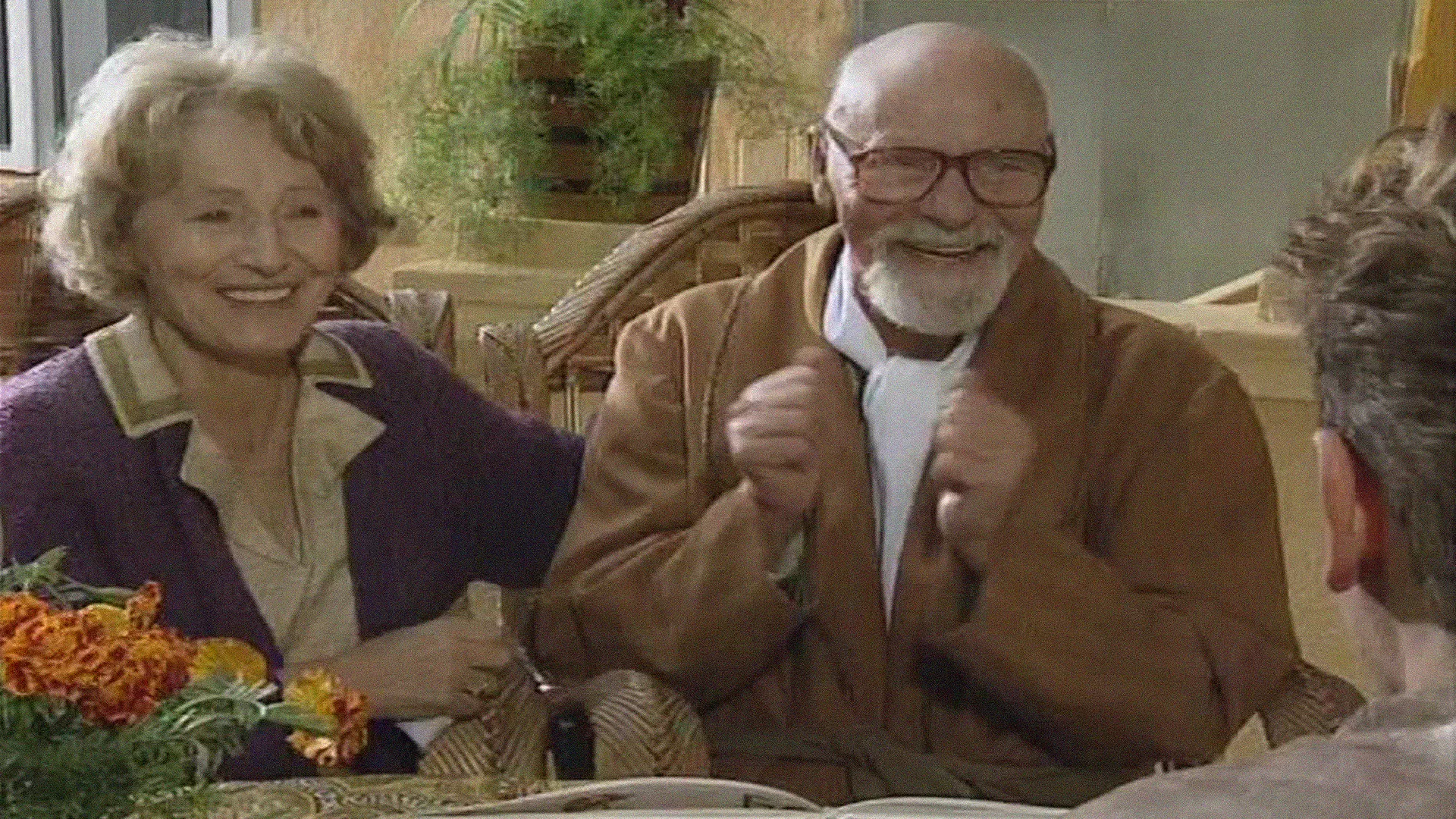 Knedle sa šljivama (1992)