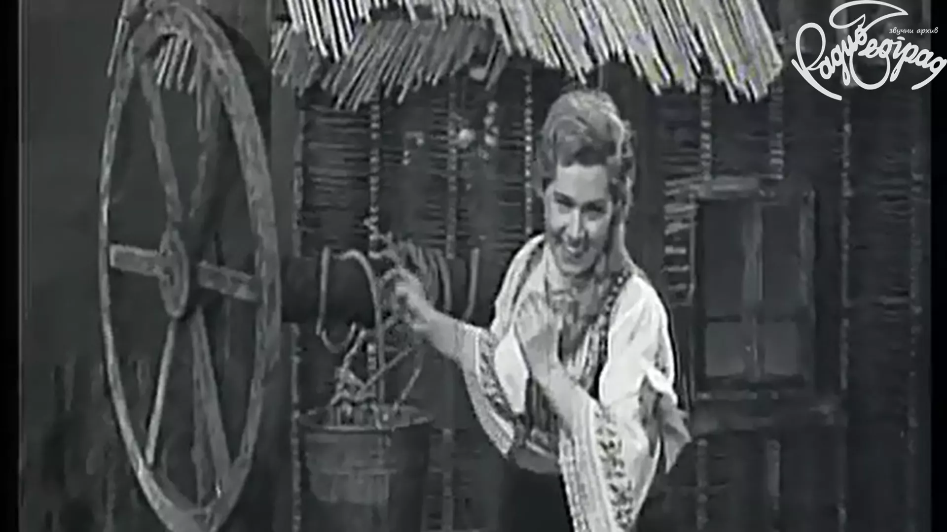 ZARASLE SU STAZE OVE - RADMILA DIMIĆ