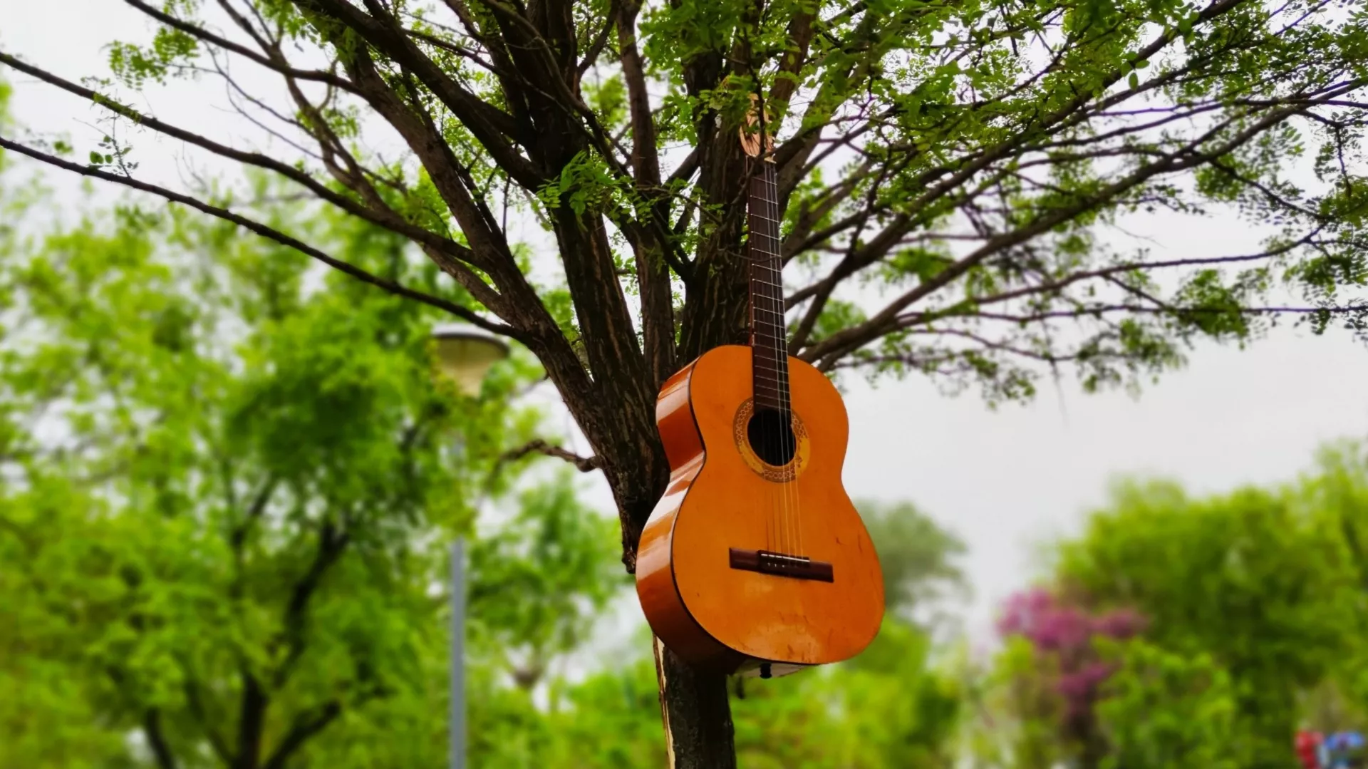 Priče o pesmama – 25. 4. 2021