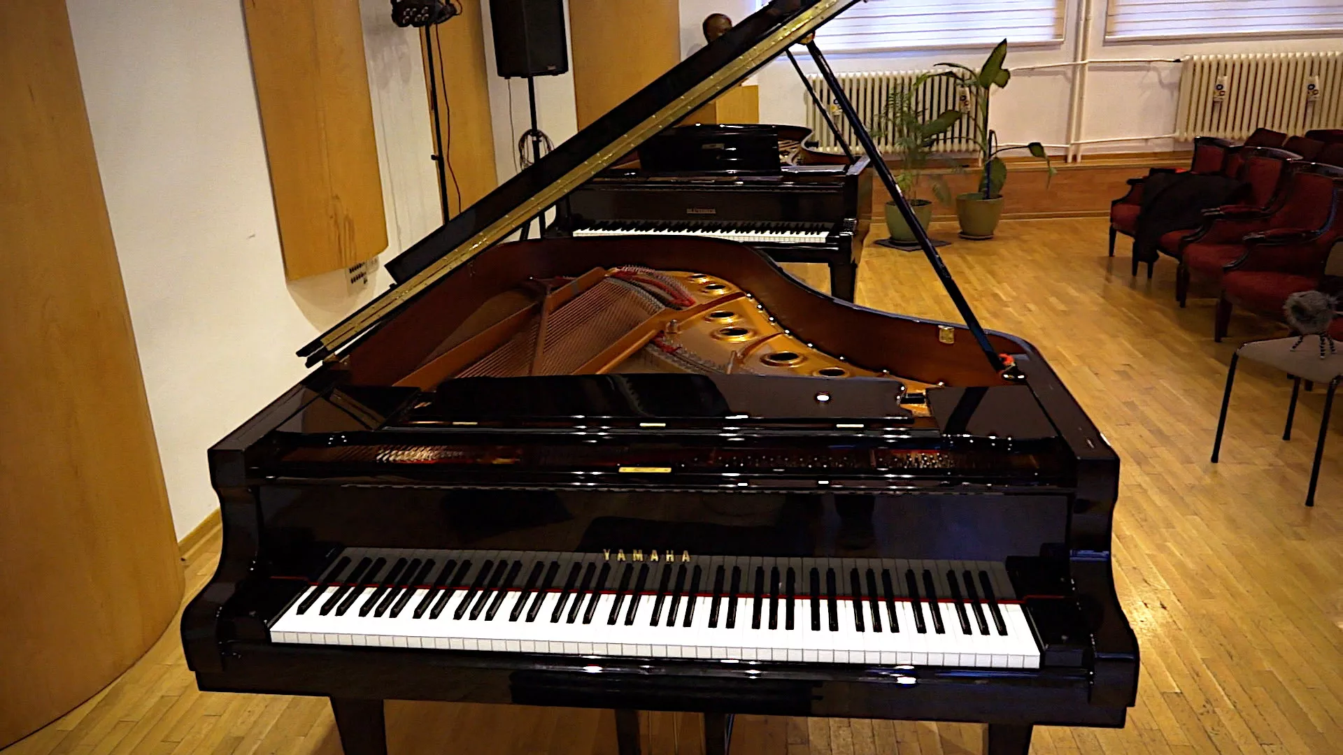 Do, re, mi: Udarni žičani instrumenti, 3. epizoda