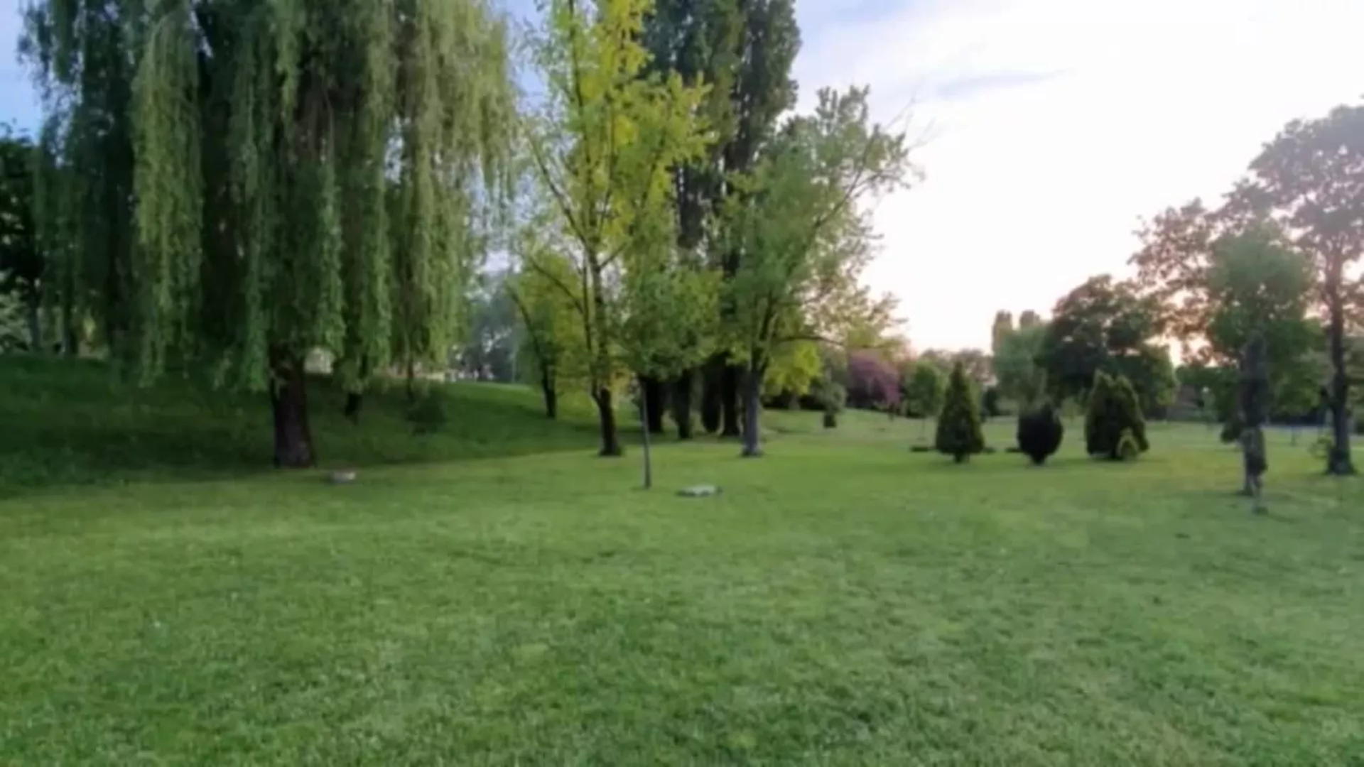 Skriveni svet pčela -  KAD PČELE UTIHNU (8. epizoda)