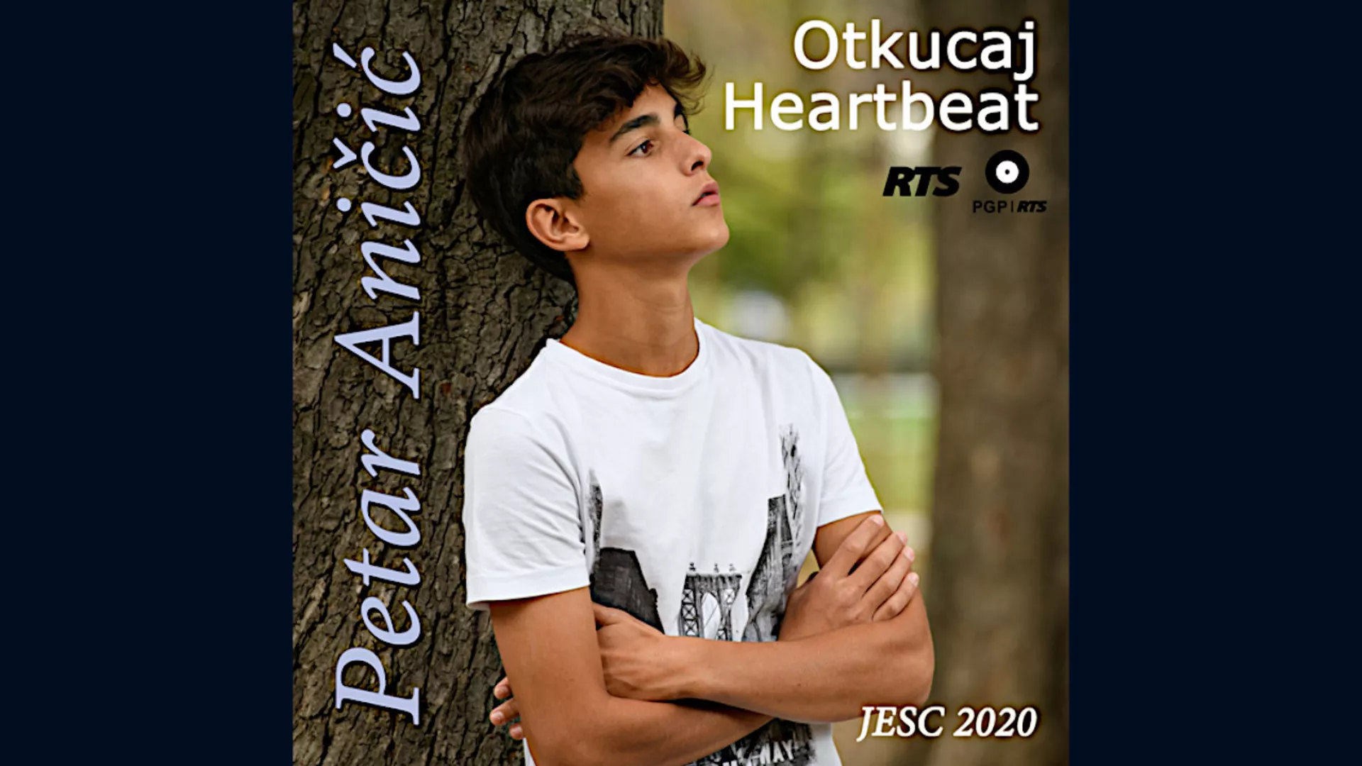 Petar Aničić – Otkucaj