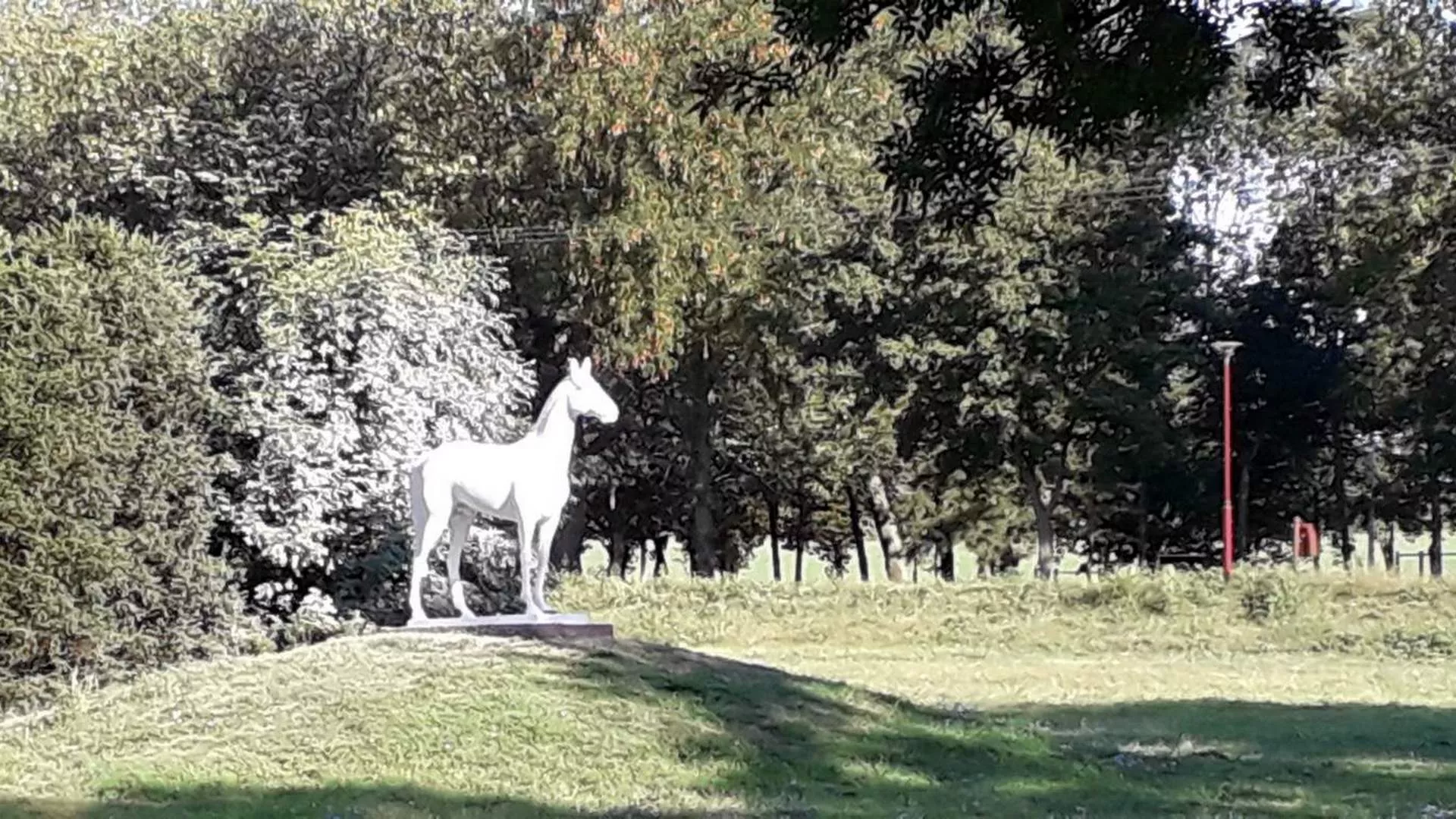 Kojekuda: Griva, galop i kas – ergela Ljubičevo