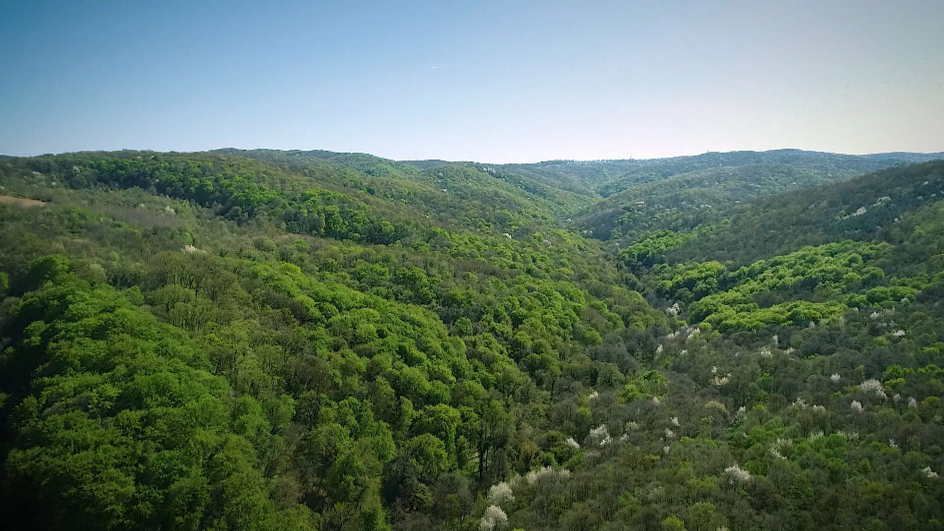 Moja lepa Srbija: Fruška gora - skrivene lepote