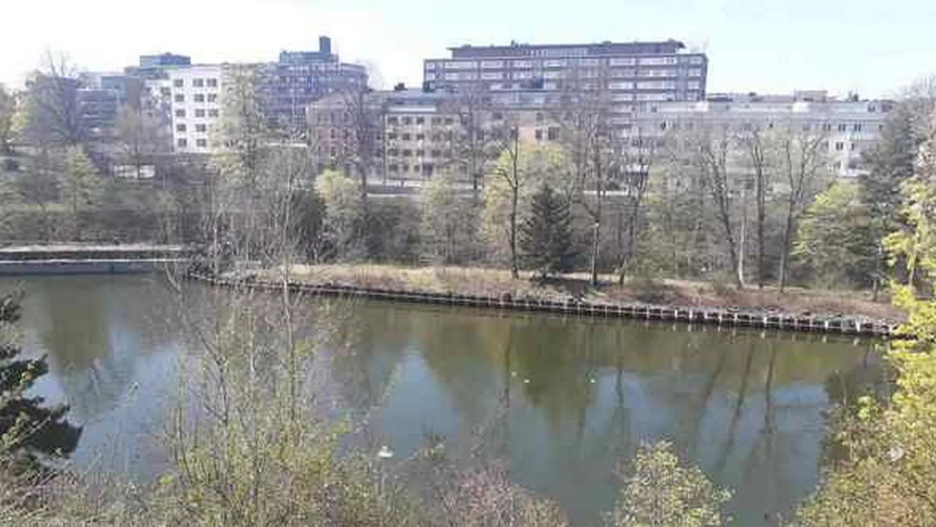 Kojekuda u Švedskoj