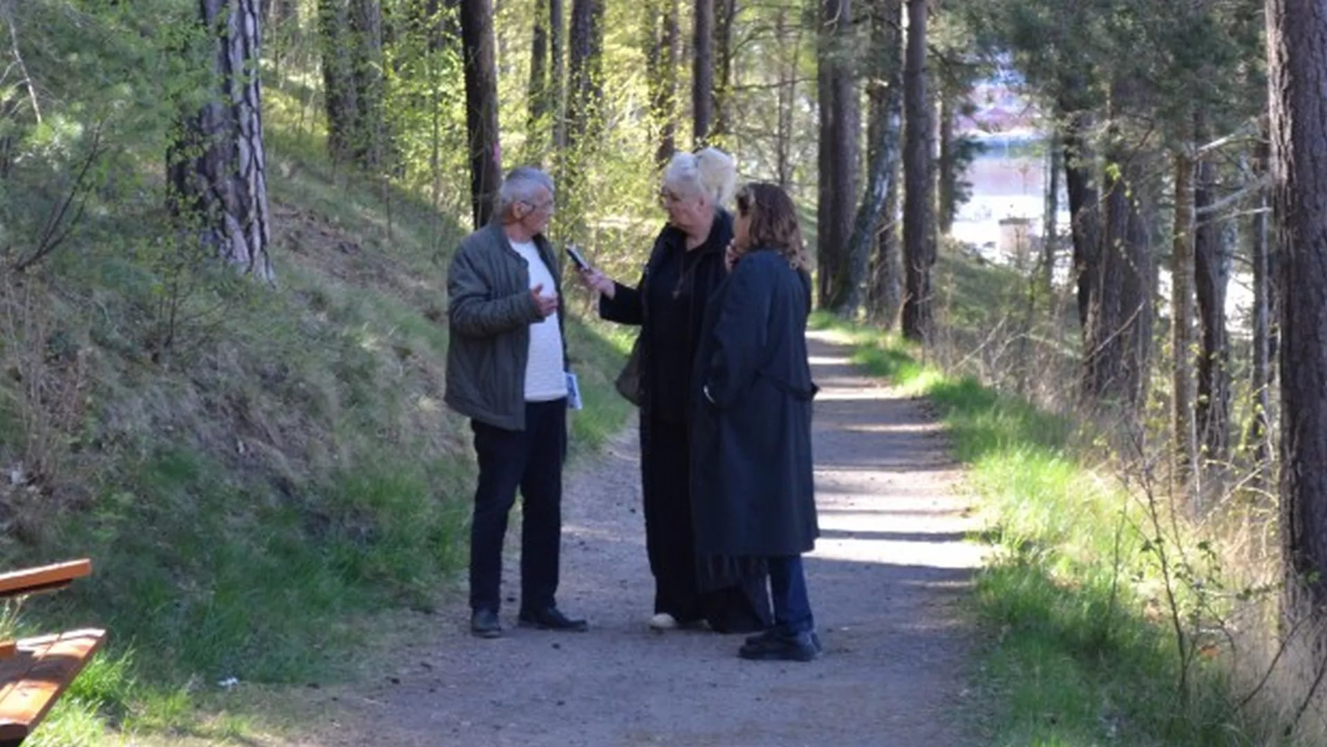 Kojekuda u Švedskoj, drugi deo