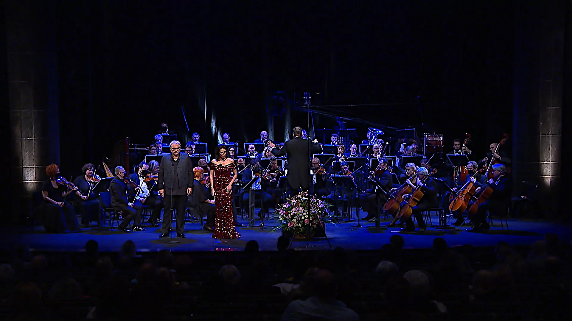 Koncert: Željko Lučić i prijatelji, drugi deo