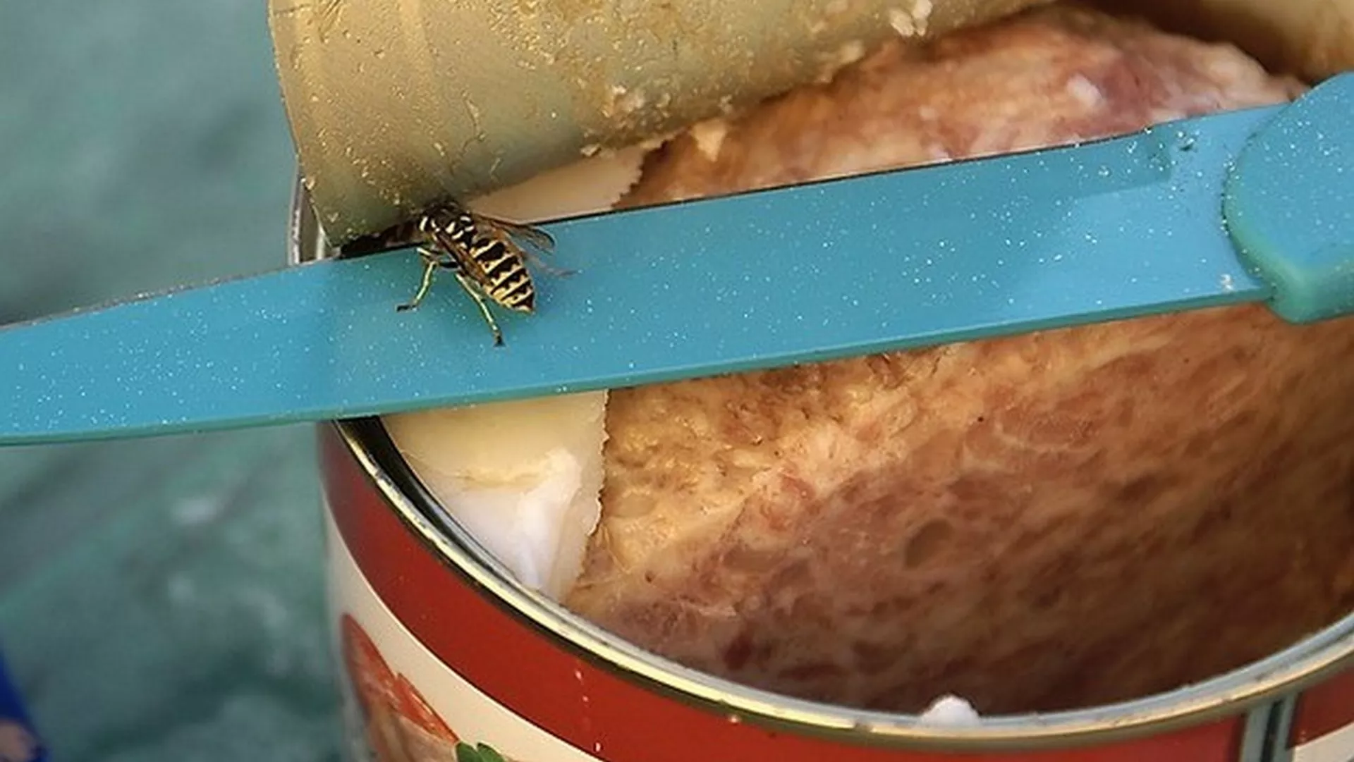 Srpski na srpskom - Porcelan i mesne konzerve