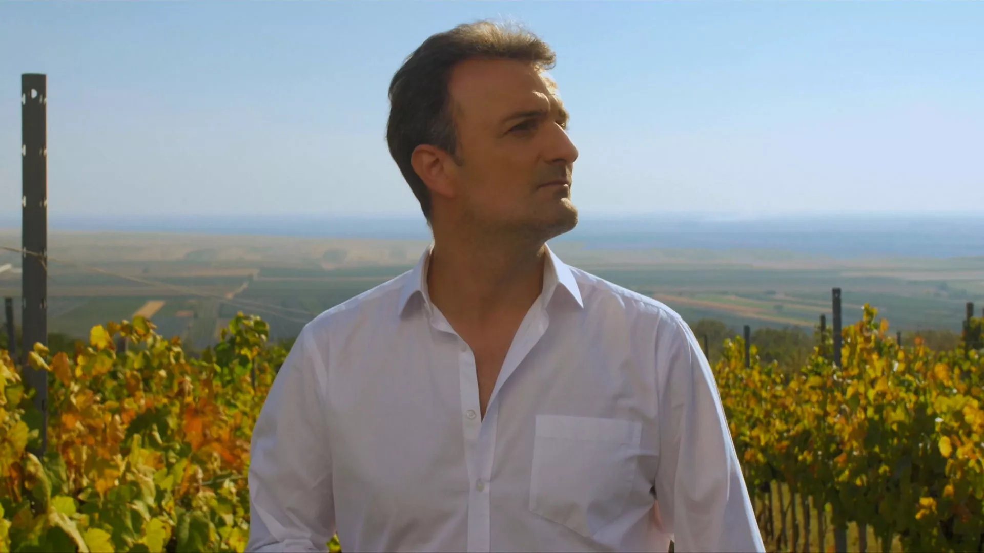 Ivan Milinković – Svenuće dunje na ormaru