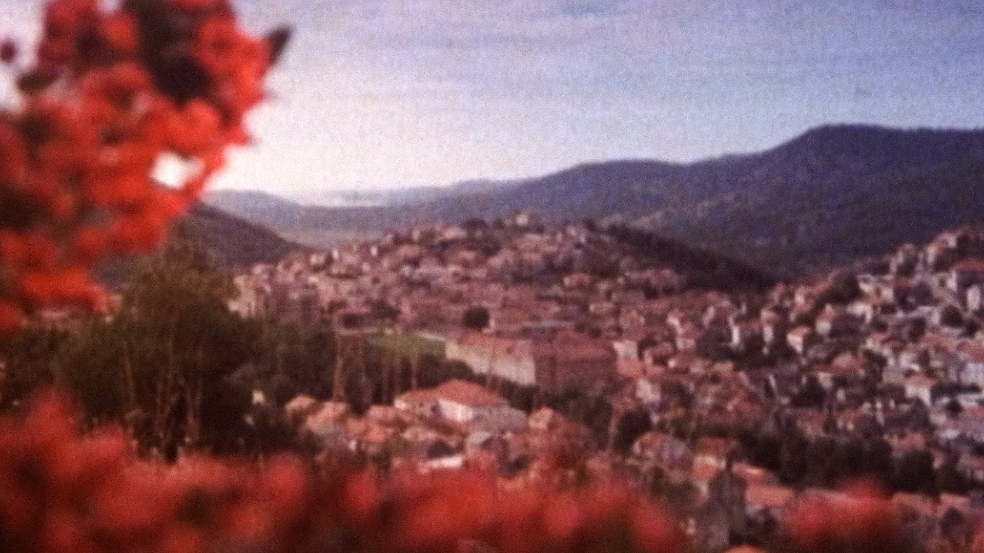 Jadranski otoci, jadranska ostrva: Korčula