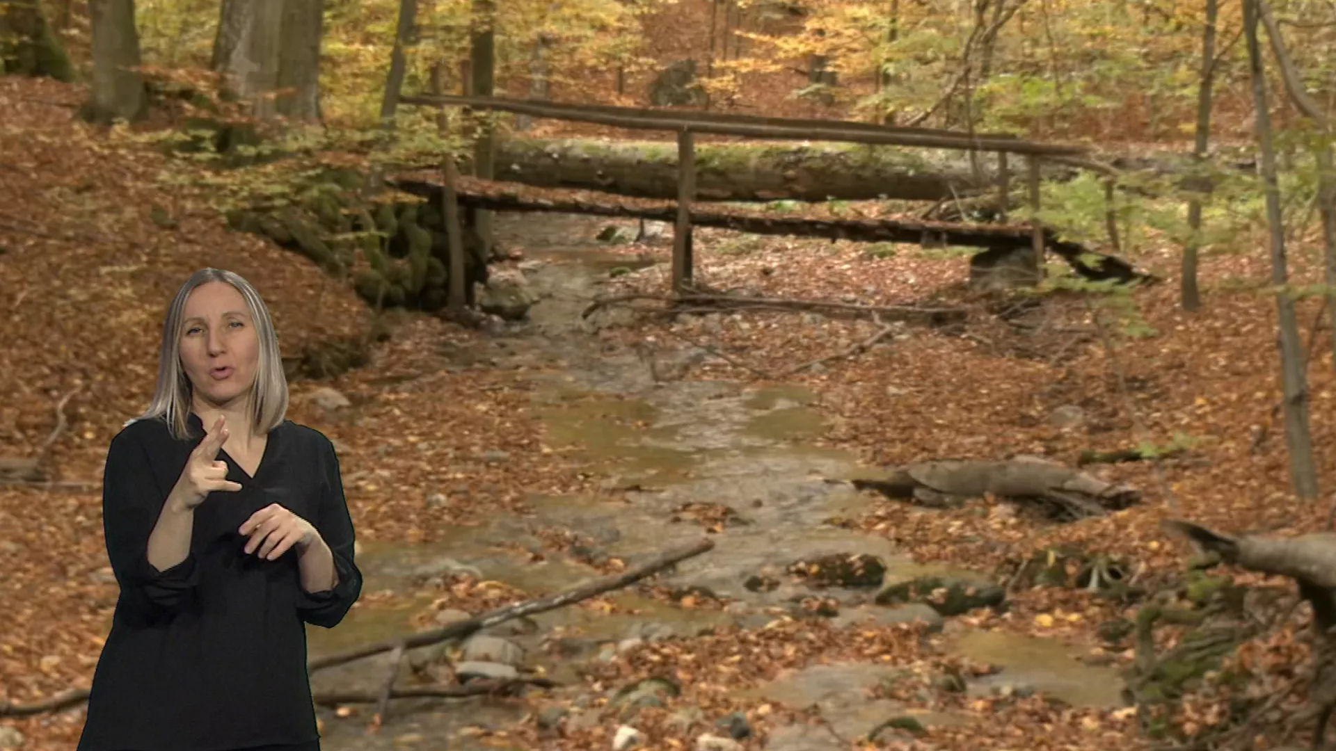 Trag: Tajne resavske doline (SZJ)