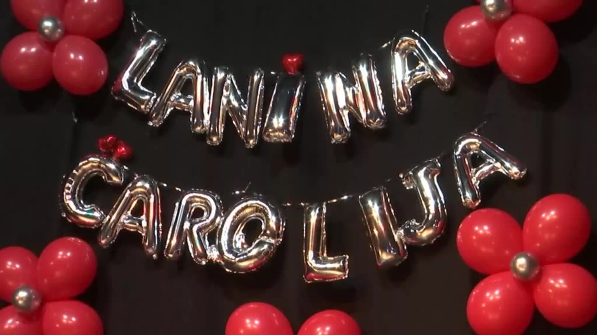 Pesnikinja Lana