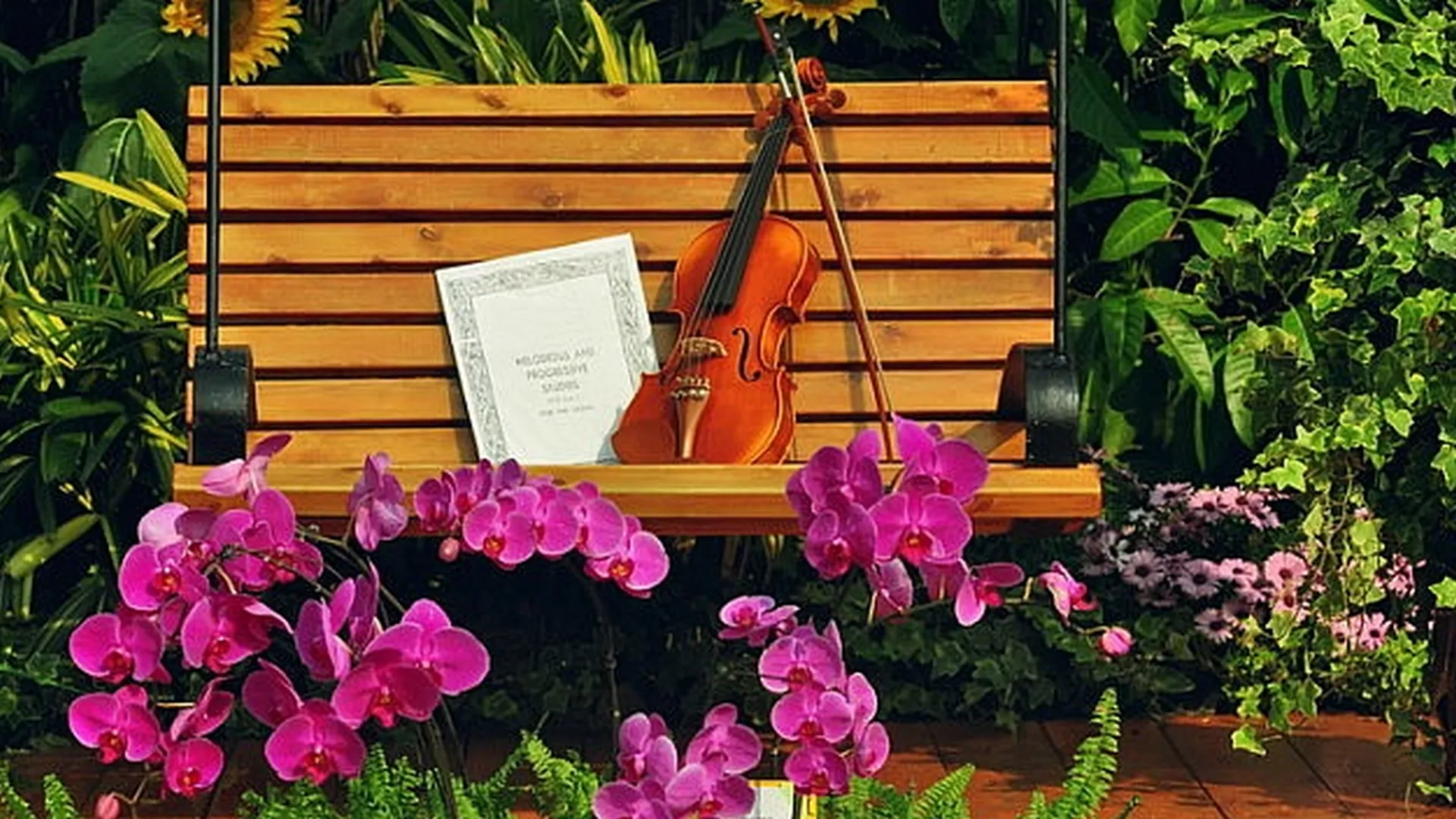 Klasiku, molim - Tema ciklusa: cveće u muzici