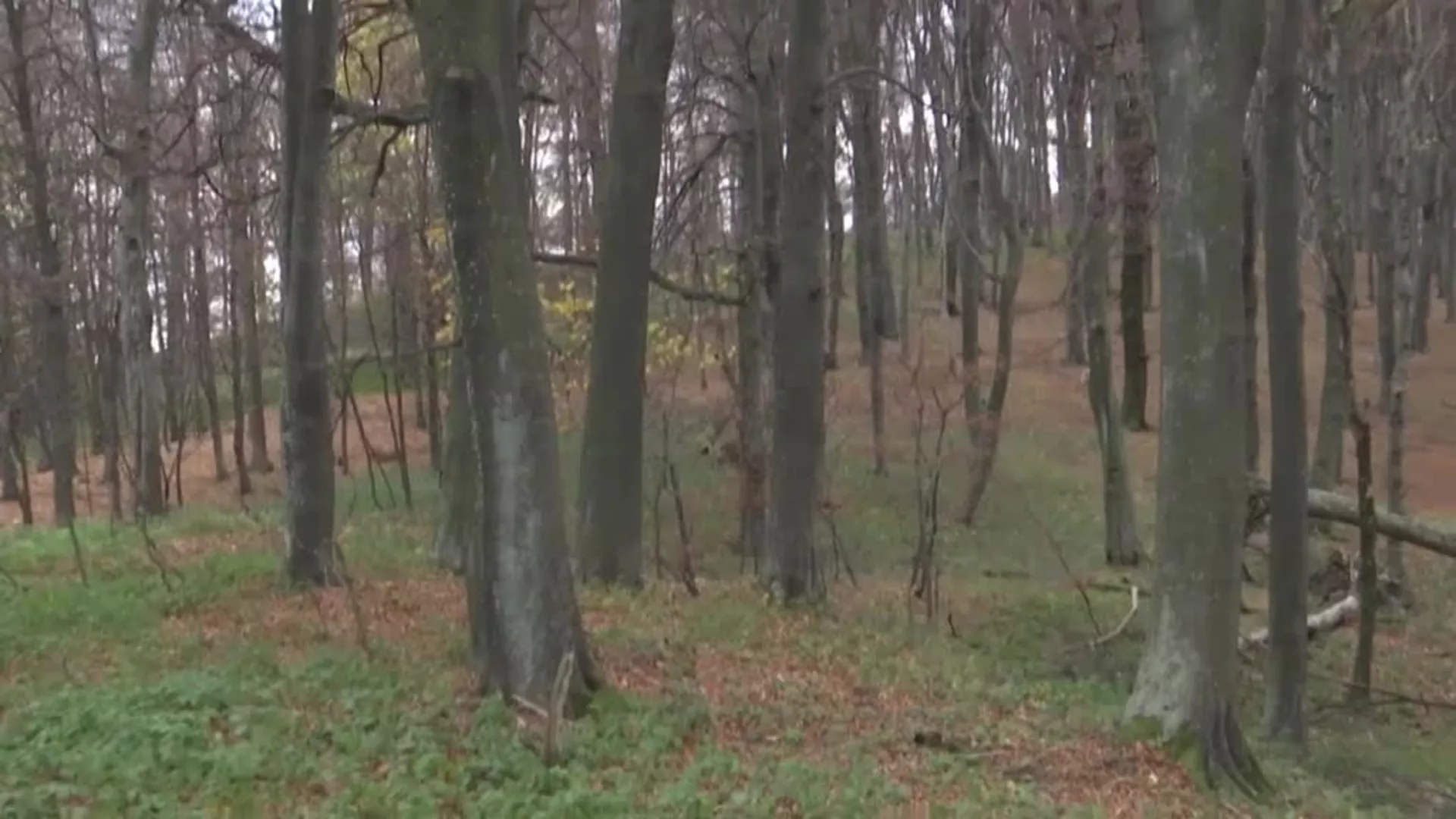 Zaštita prirode