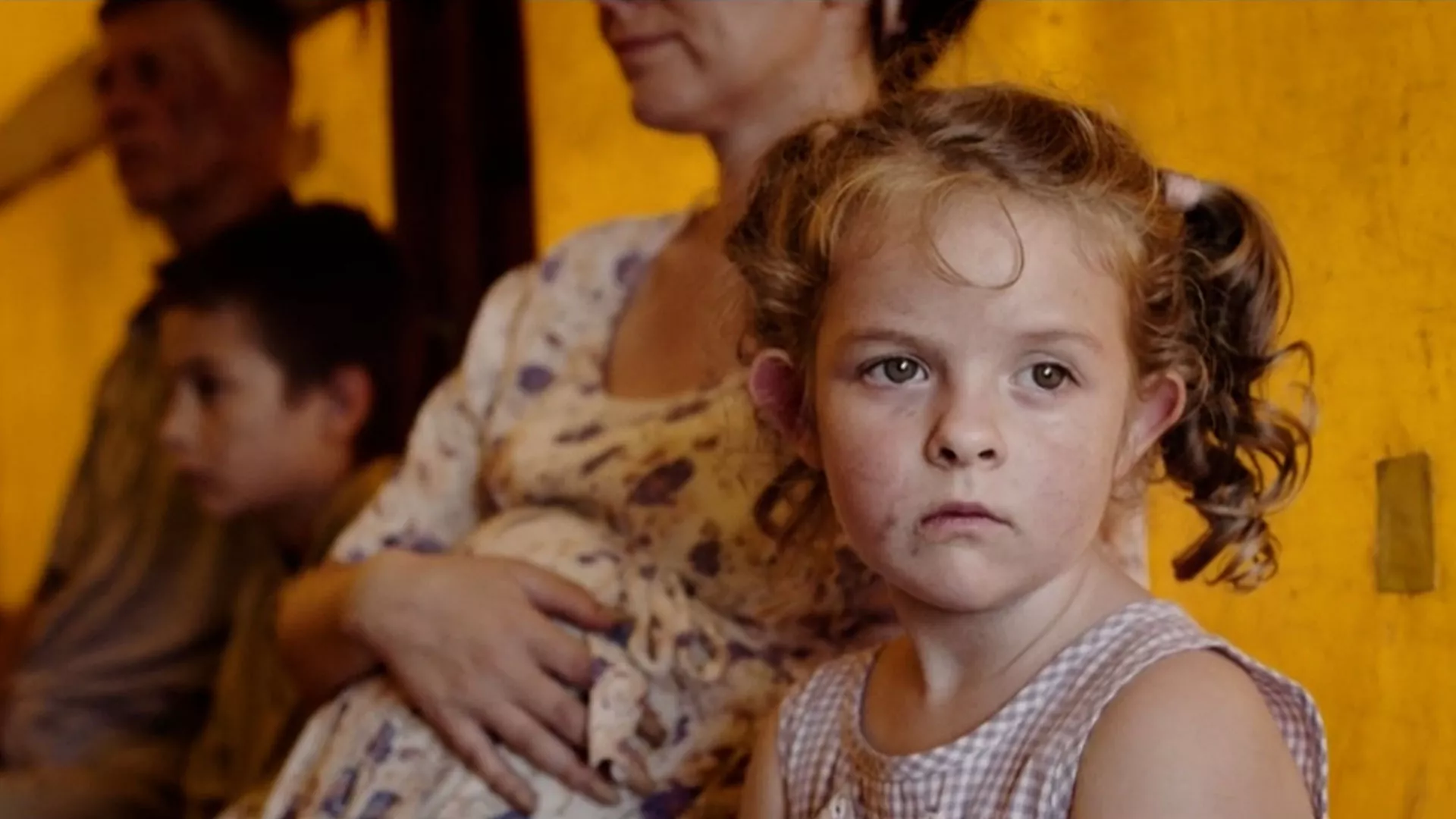 Petrovačka cesta, dokumentarni film
