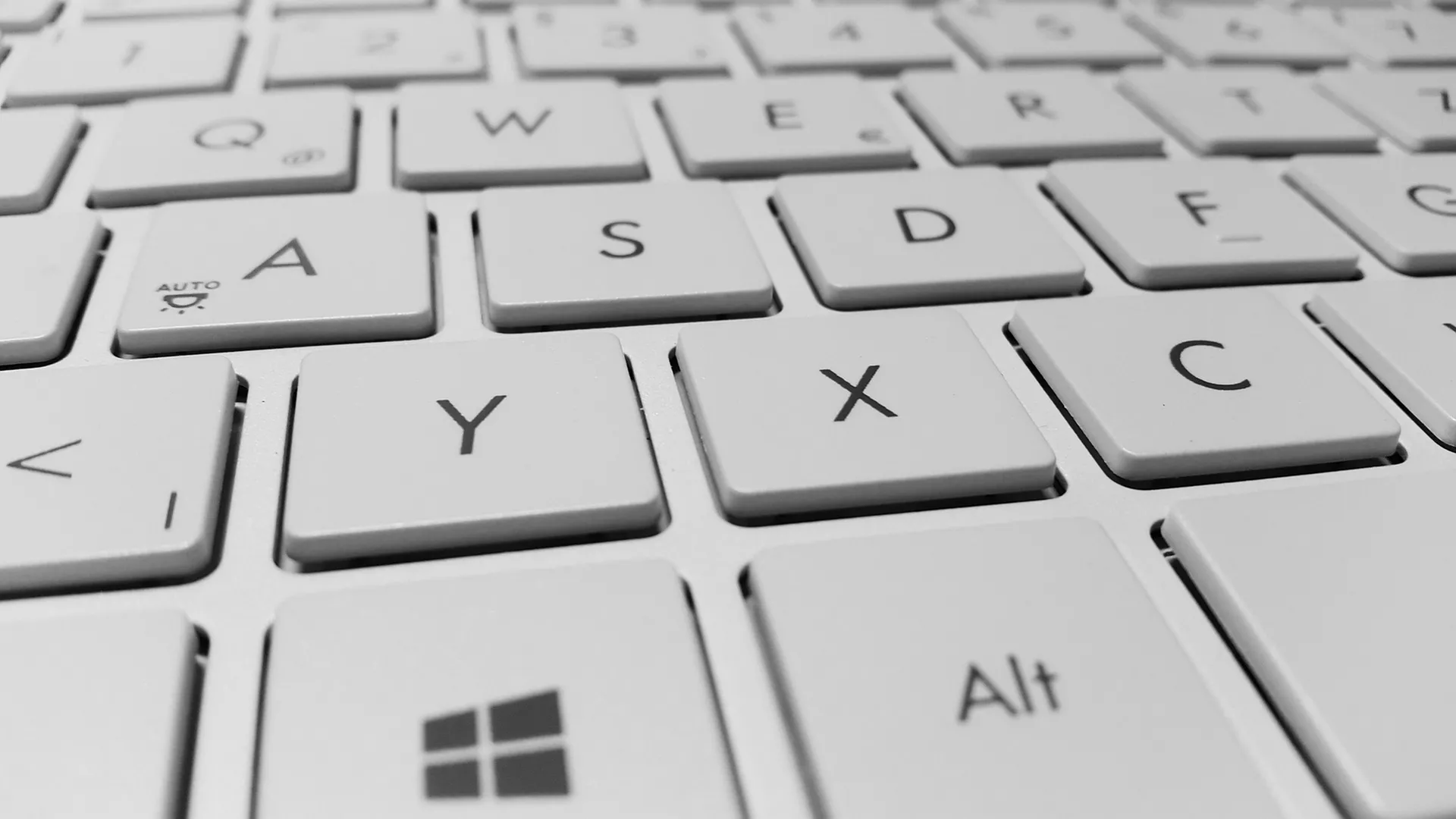 Digitalne ikone - Živeti sa cunamijem