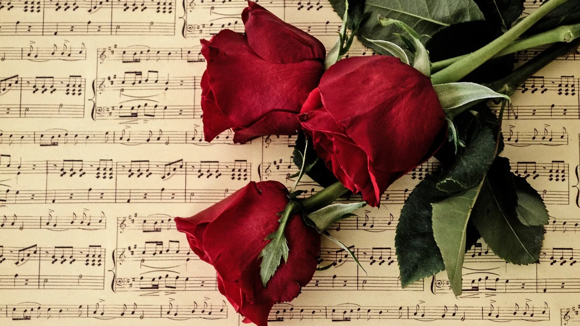 Žene u muzici – Margaret Bonds i Džulija Peri