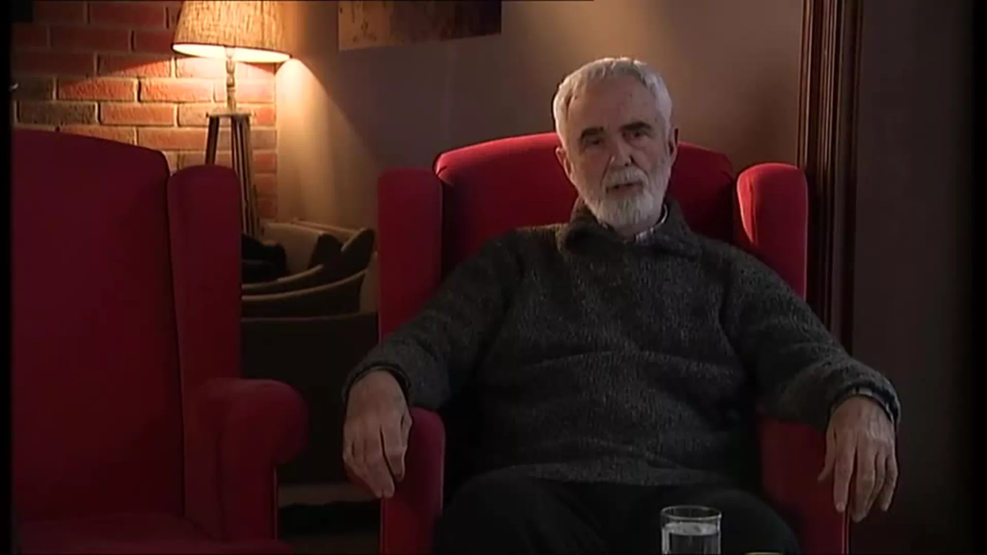 Zavodljiva televizija – Kreatori serija, Gordan Mihić