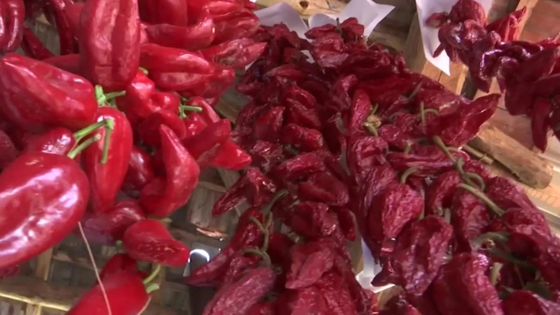 Crna paprika za crveni ajvar