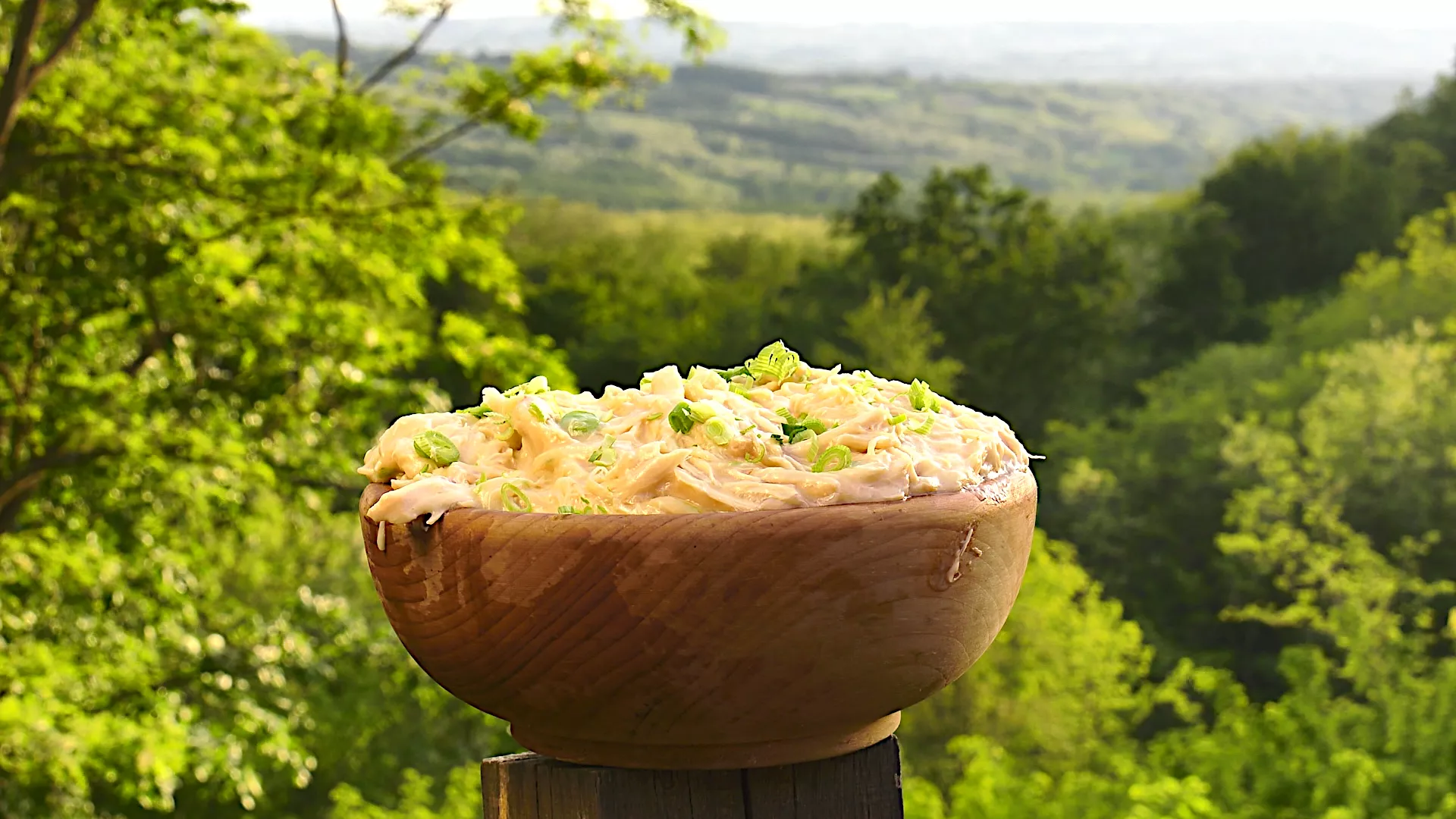 Gastronomad: Povratak u Vitoševac