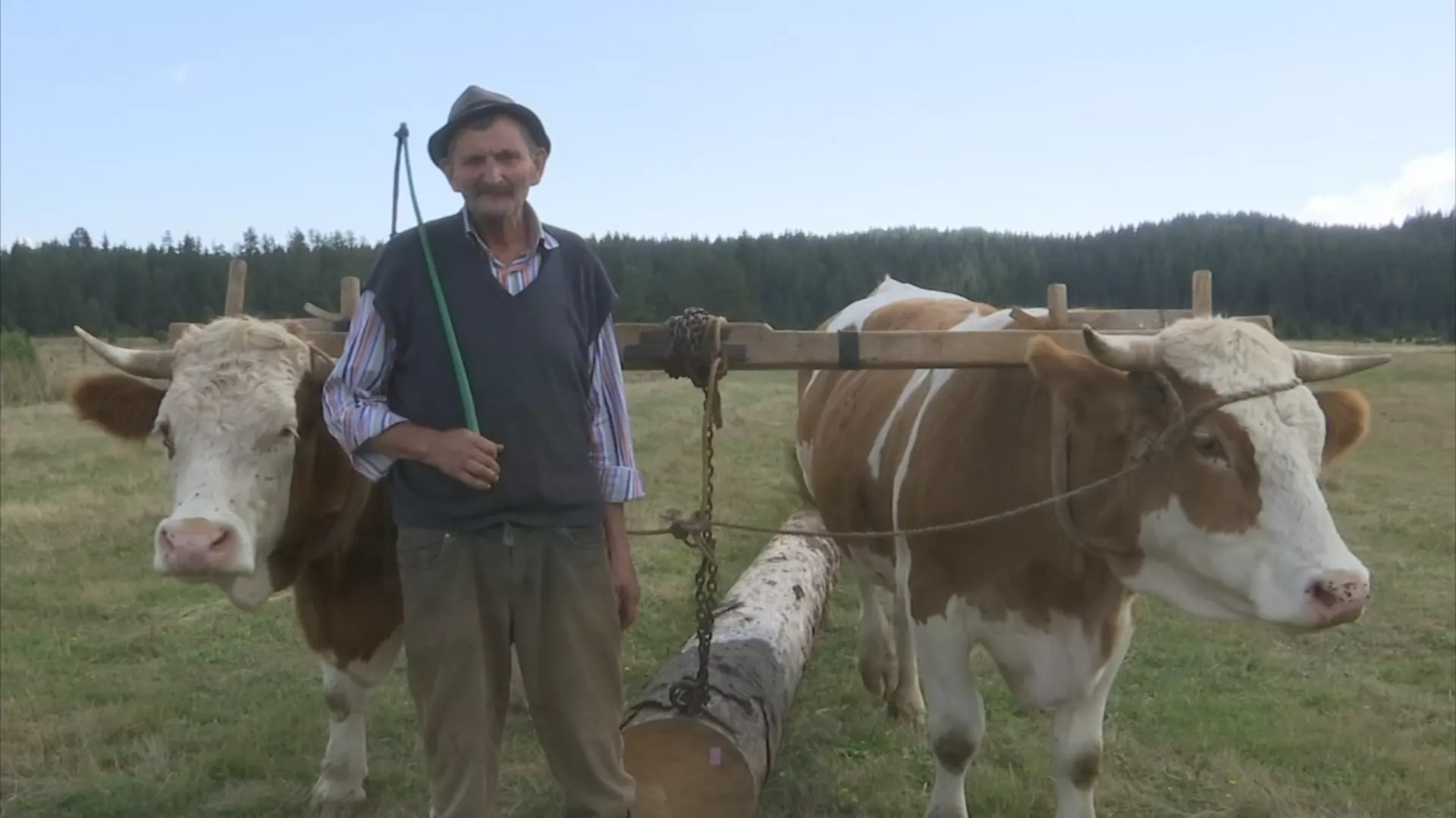 Kvadratura kruga – novogodišnji specijal: Priče koje se pamte, 2. deo