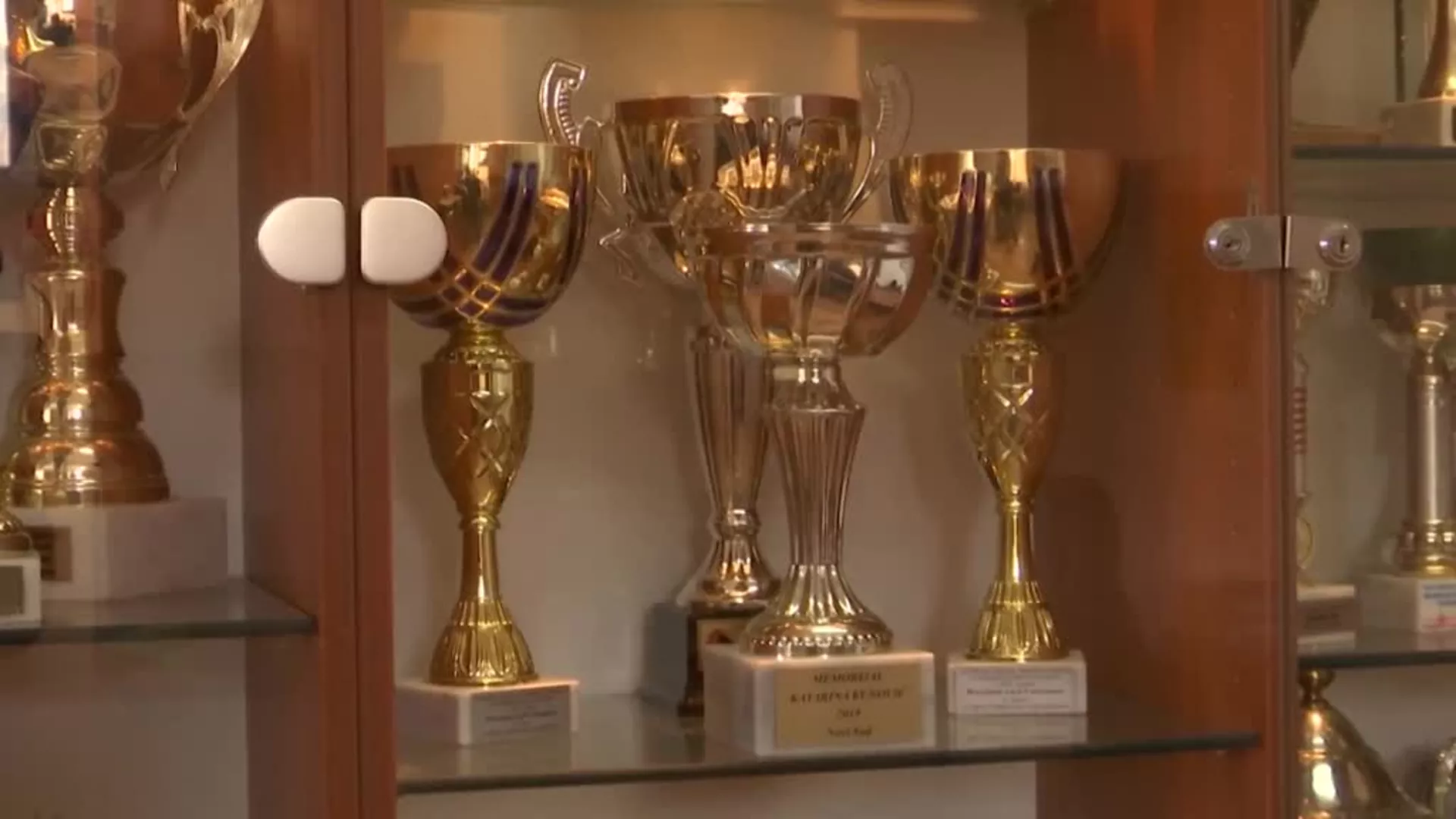 100 godina Veslačkog kluba Smederevo