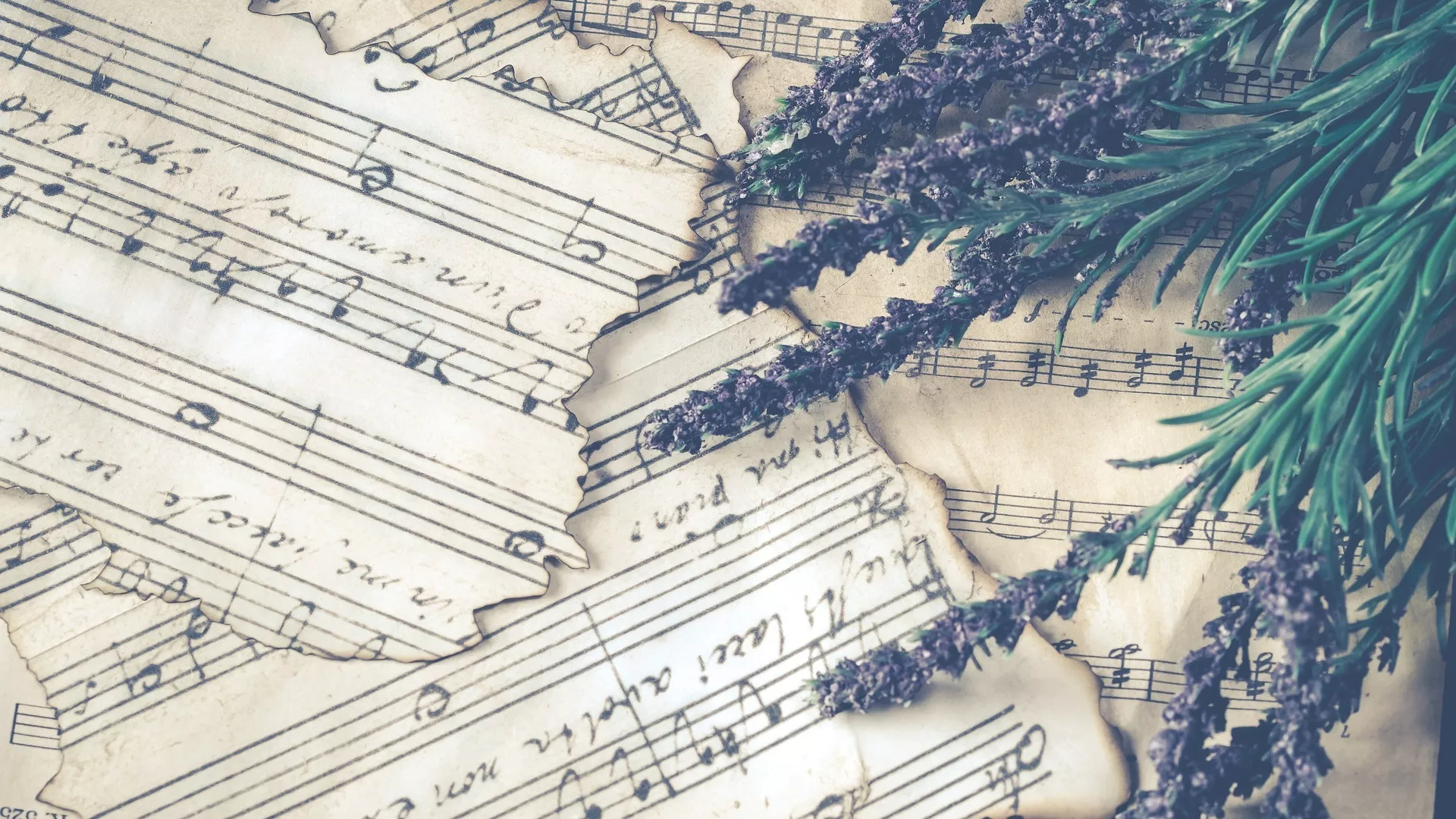 Žene u muzici – Pegi Stjuart Kulidž