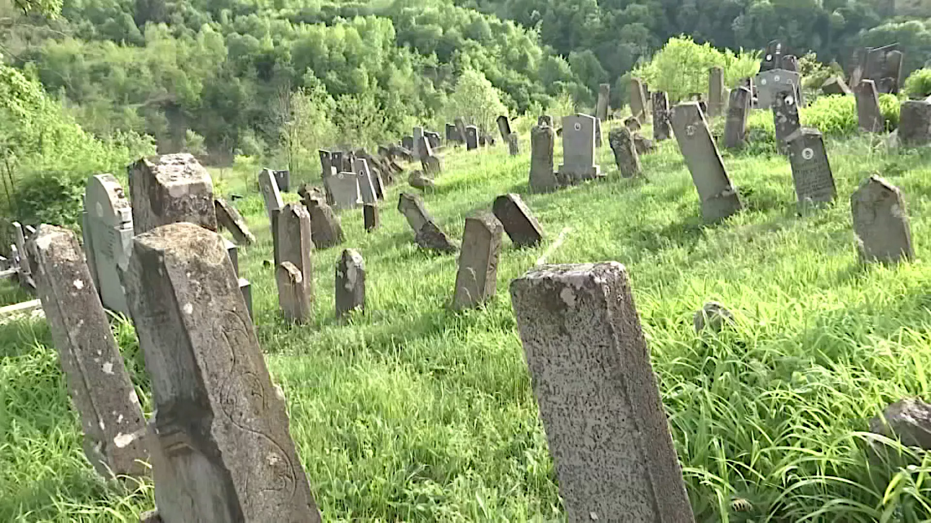 Trag: Nemi krik