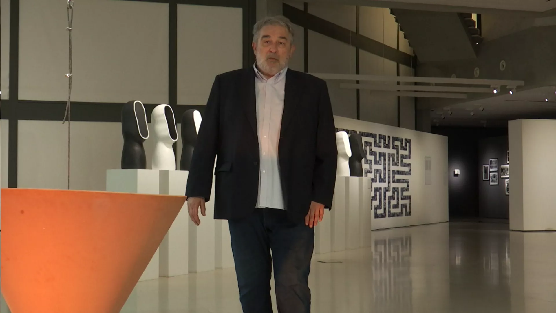 Metamorfoze: Zoran Erić