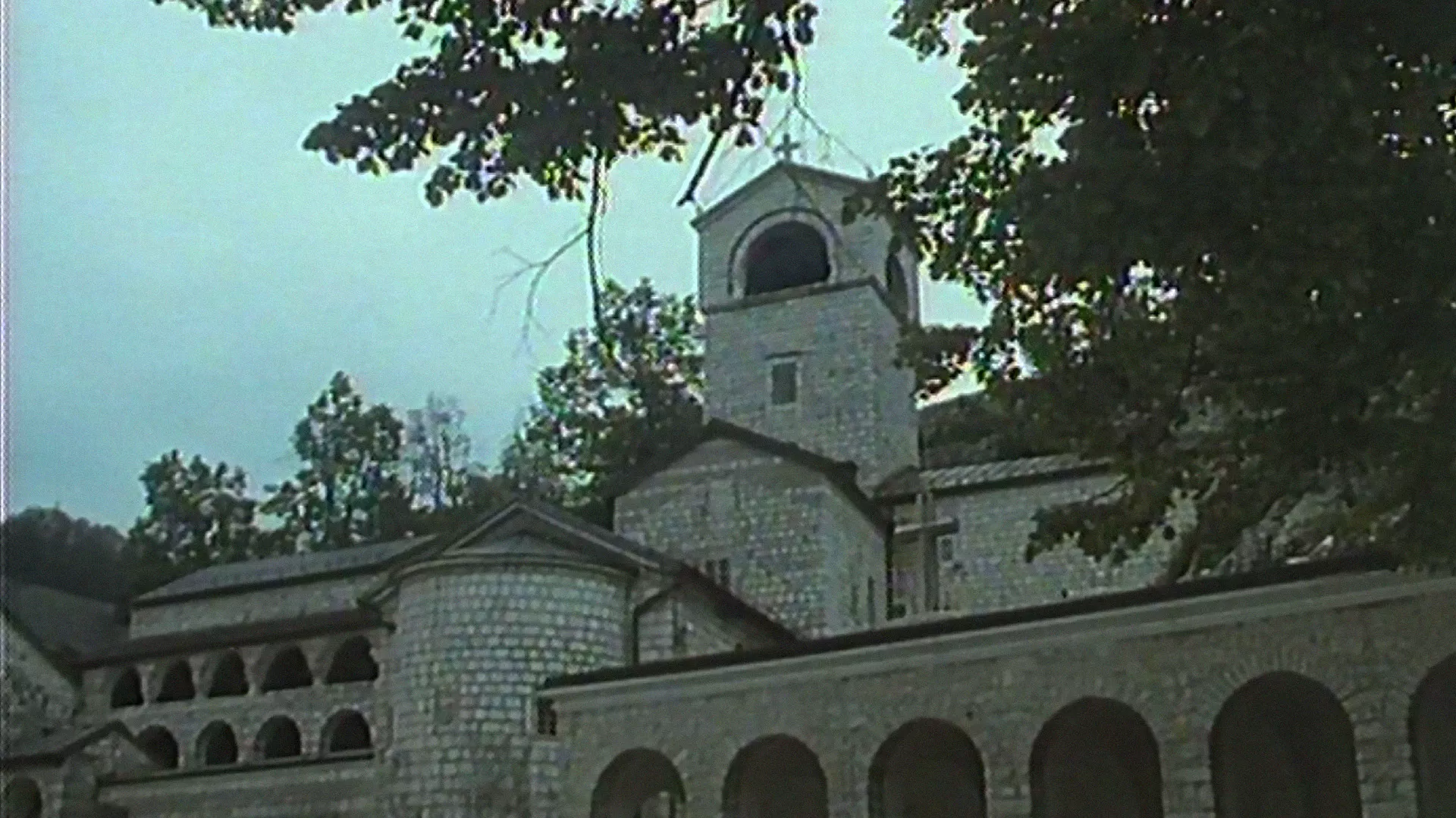 Petar Petrović Njegoš: Školovanje