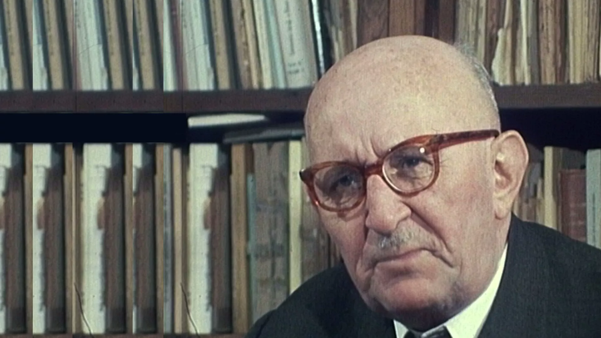 Portreti: Vasa Čubrilović
