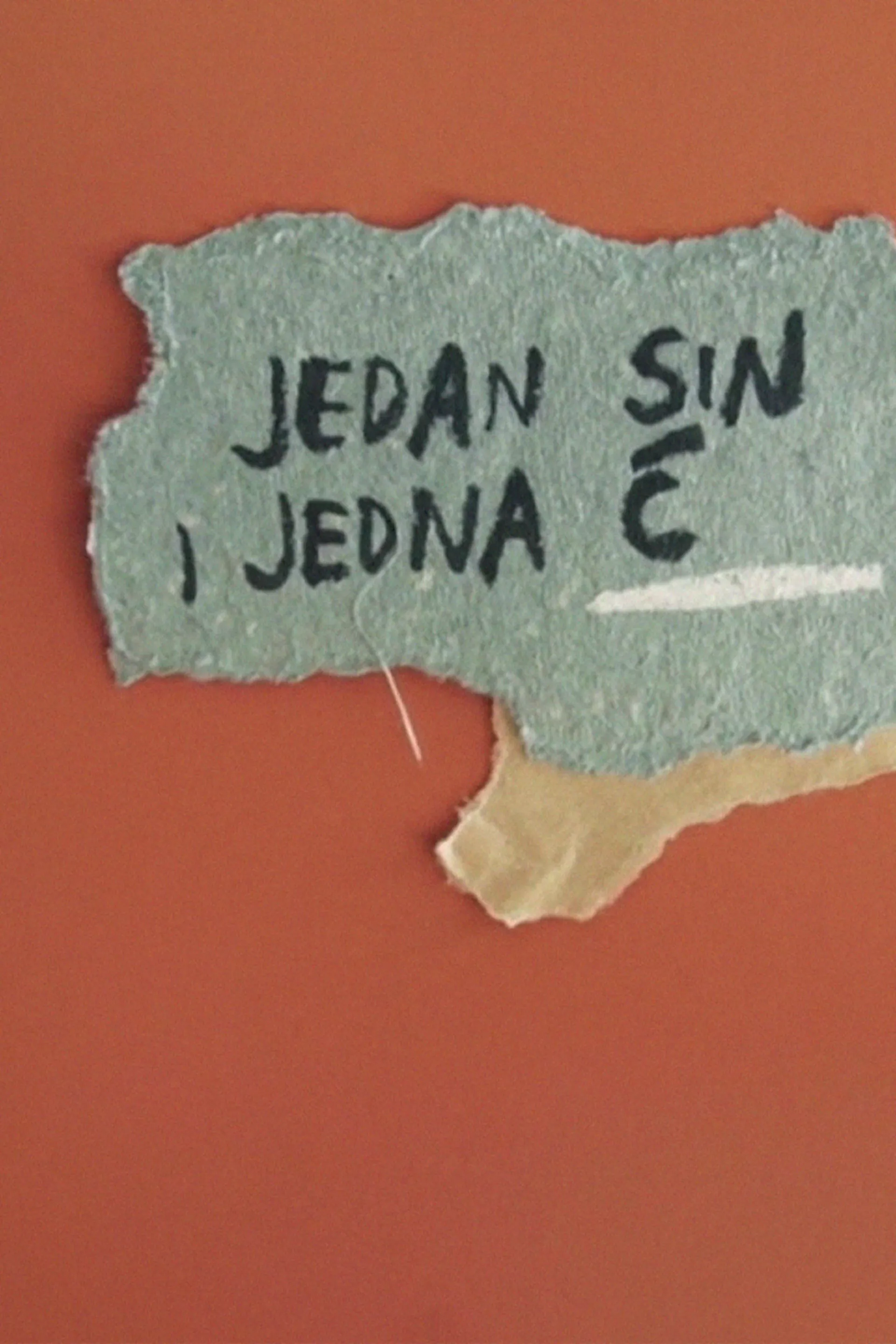 Jedan sin i jedna ć