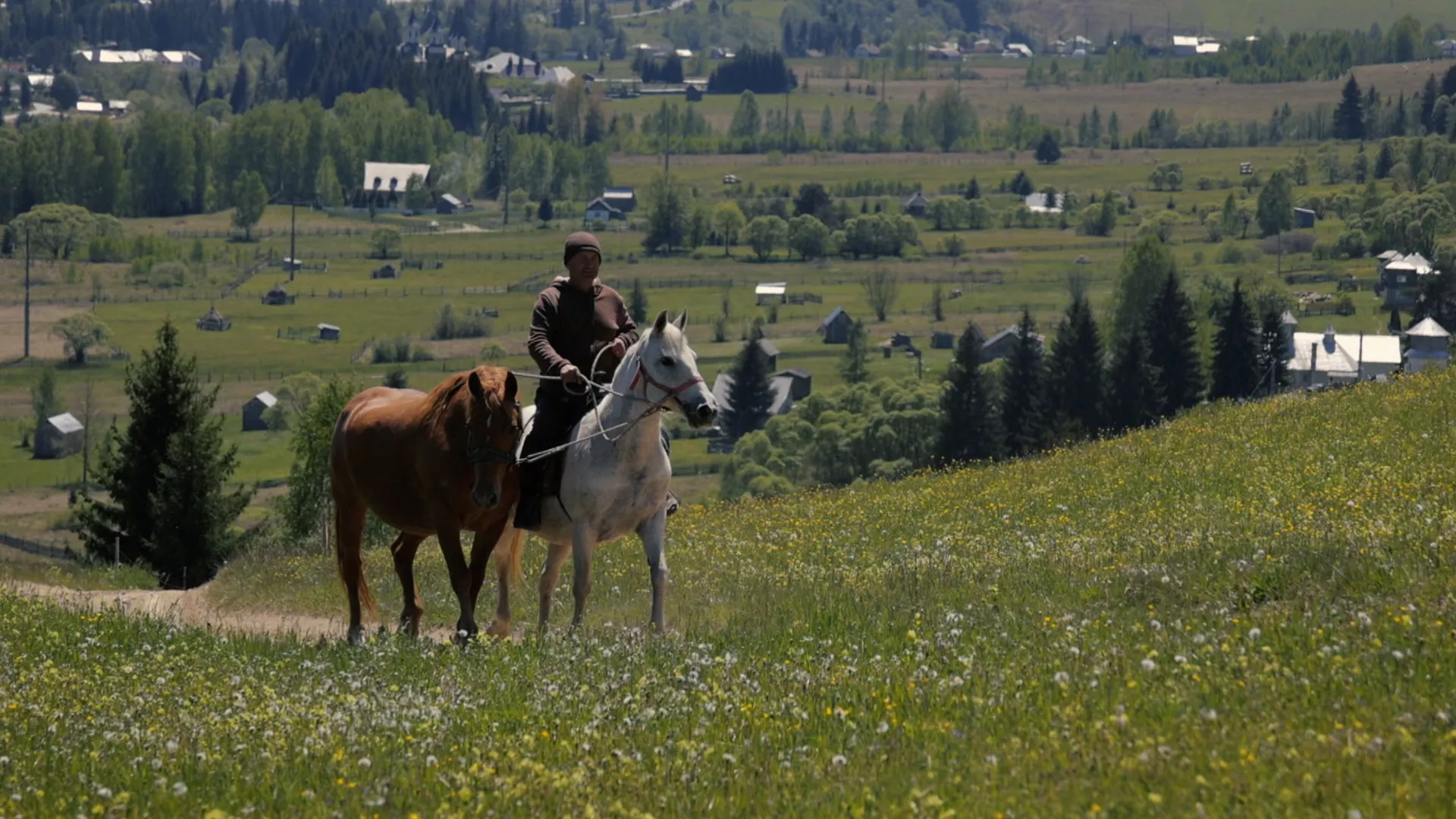 Sasvim prirodno: Bukovina, 2. deo
