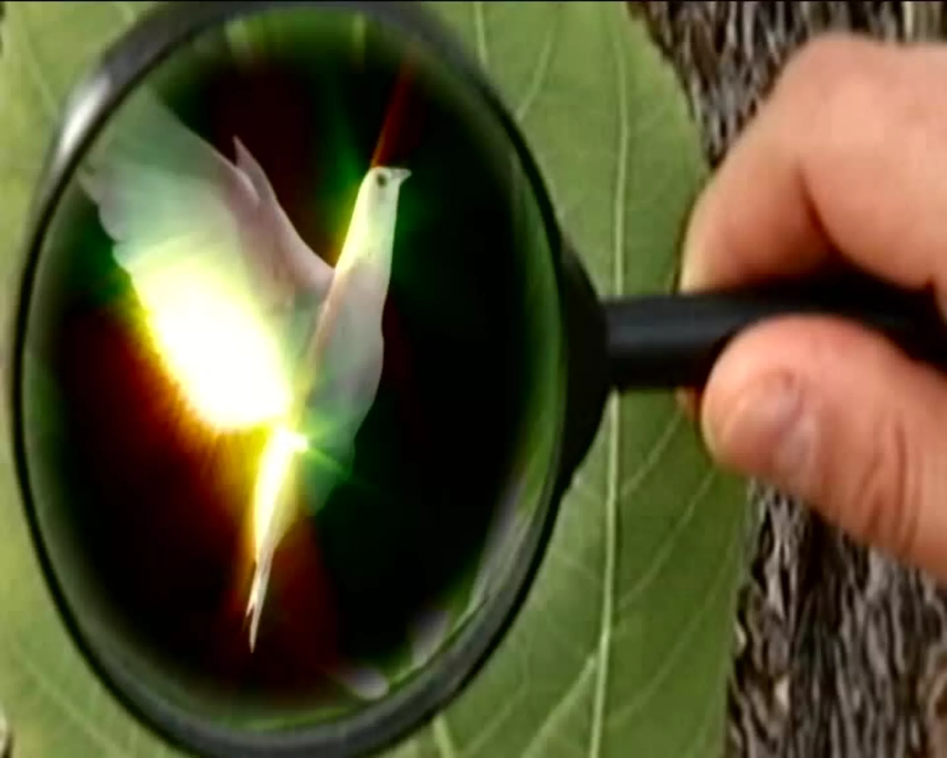 Obrazovno ogledalo: Nanosvet za početnike, drugi deo