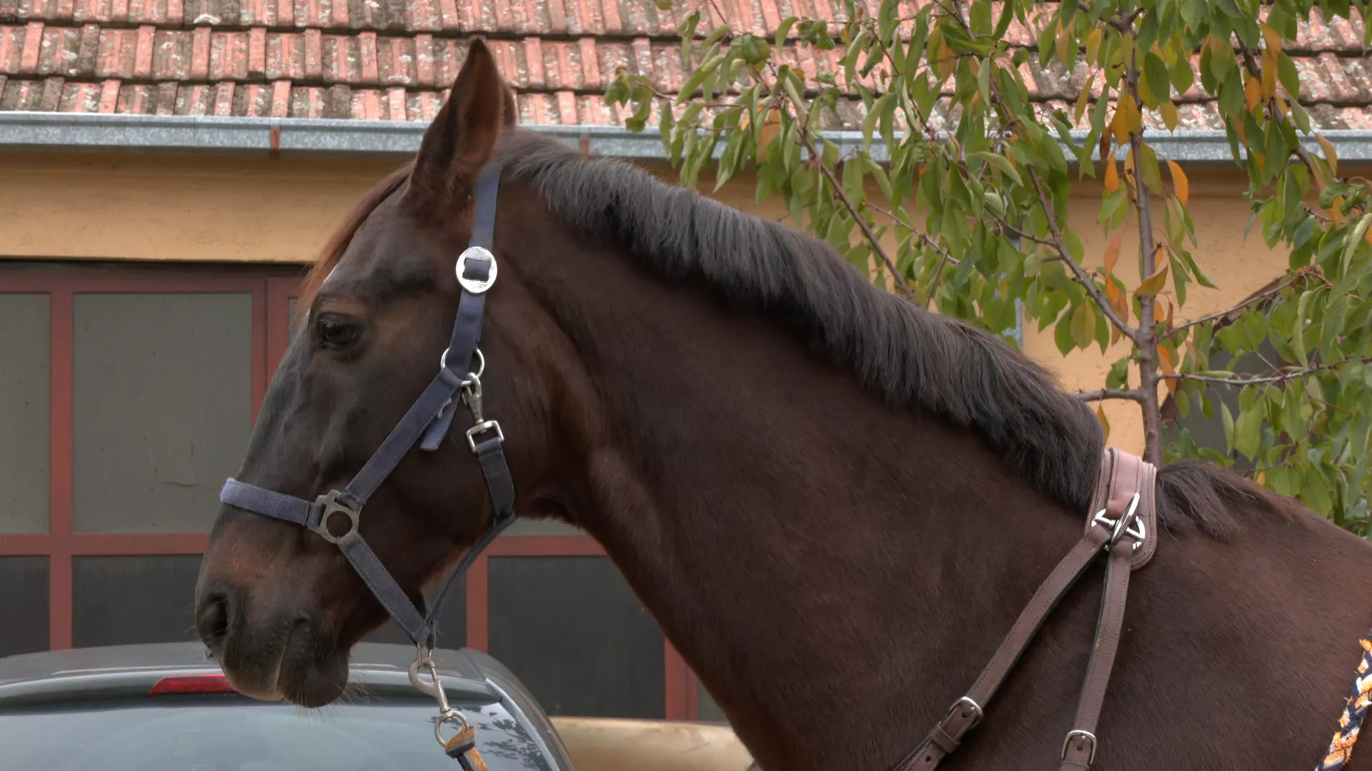 Znanje imanje: Biram selo