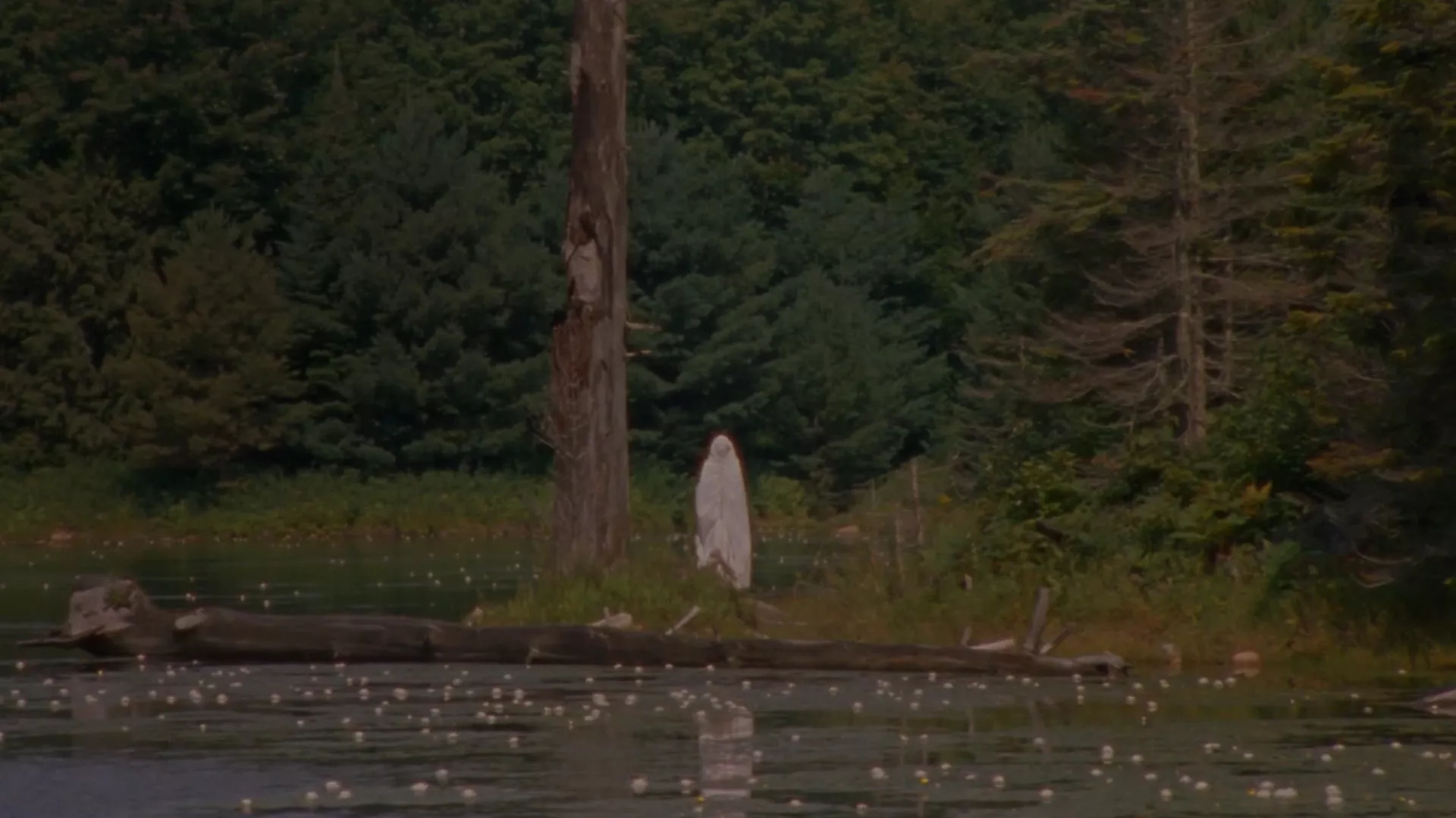 Sokolovo jezero (2022)