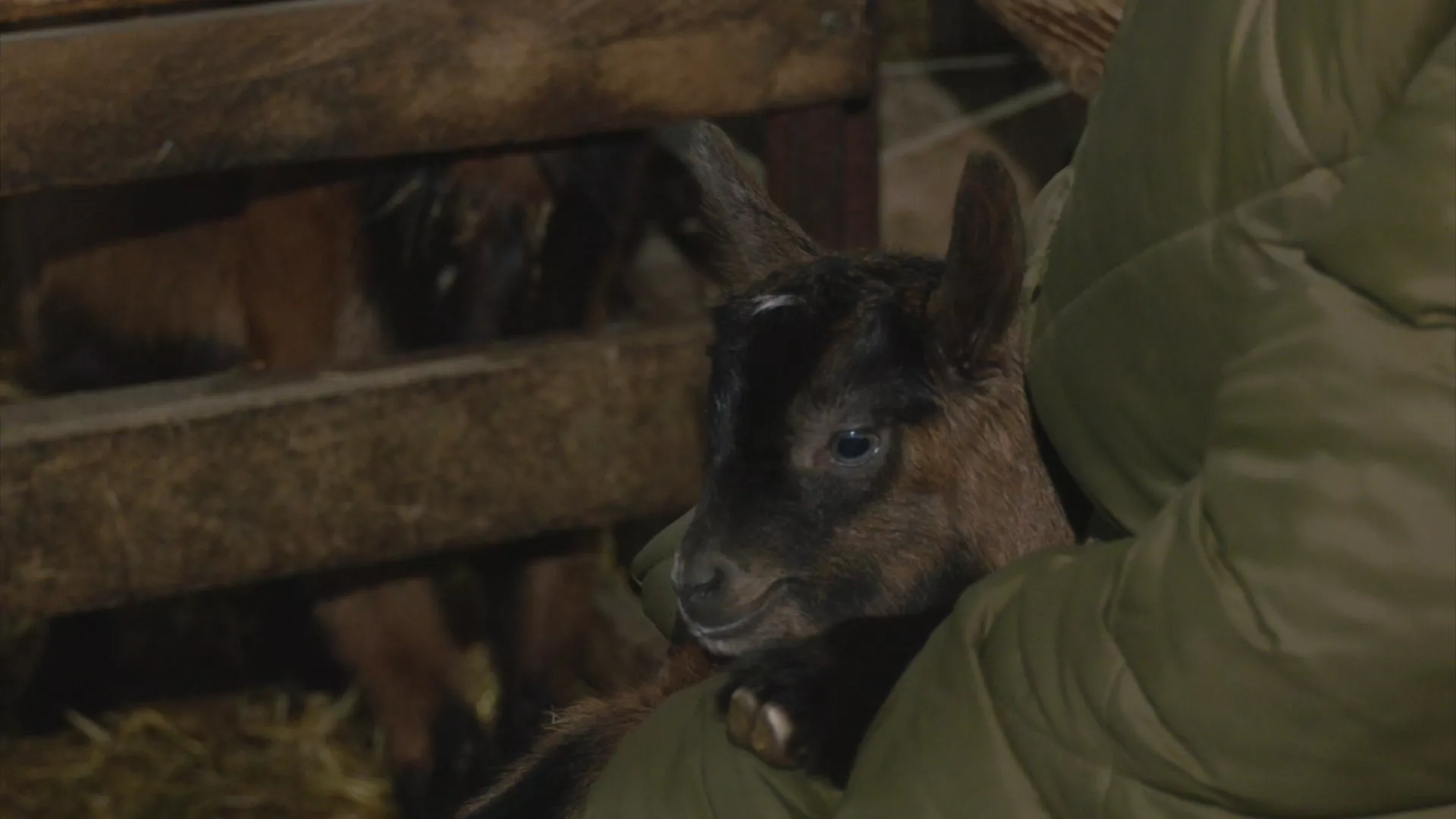 Znanje imanje:  Domaćinske priče