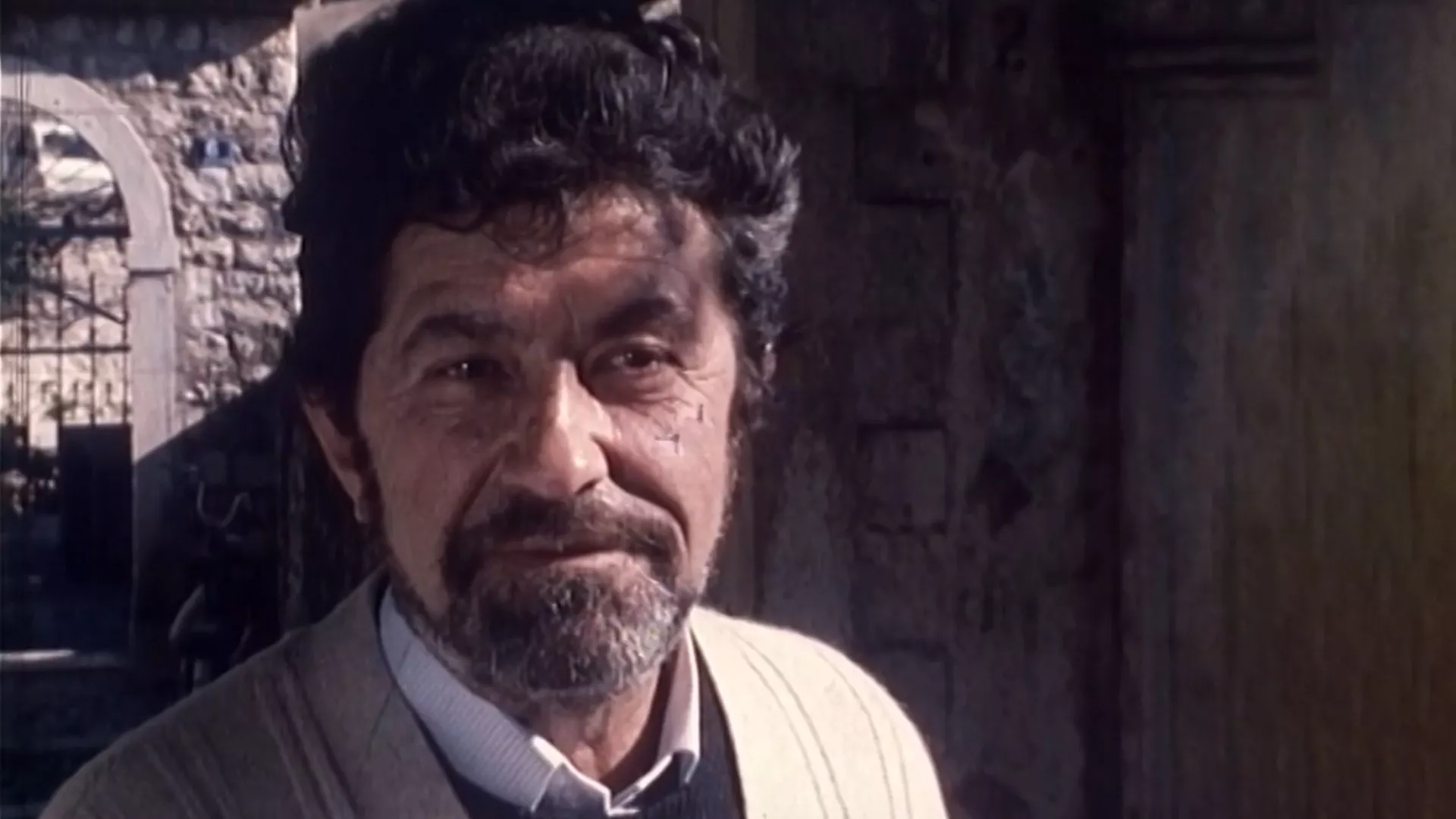 Savremenici: Zuho Džumhur