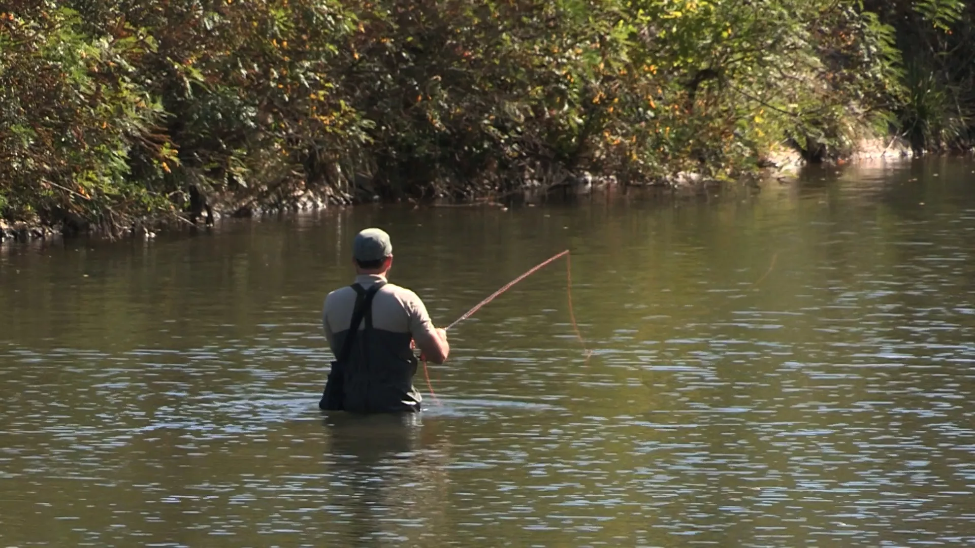 Lov i ribolov: U Pomoravskom okrugu, 1. deo