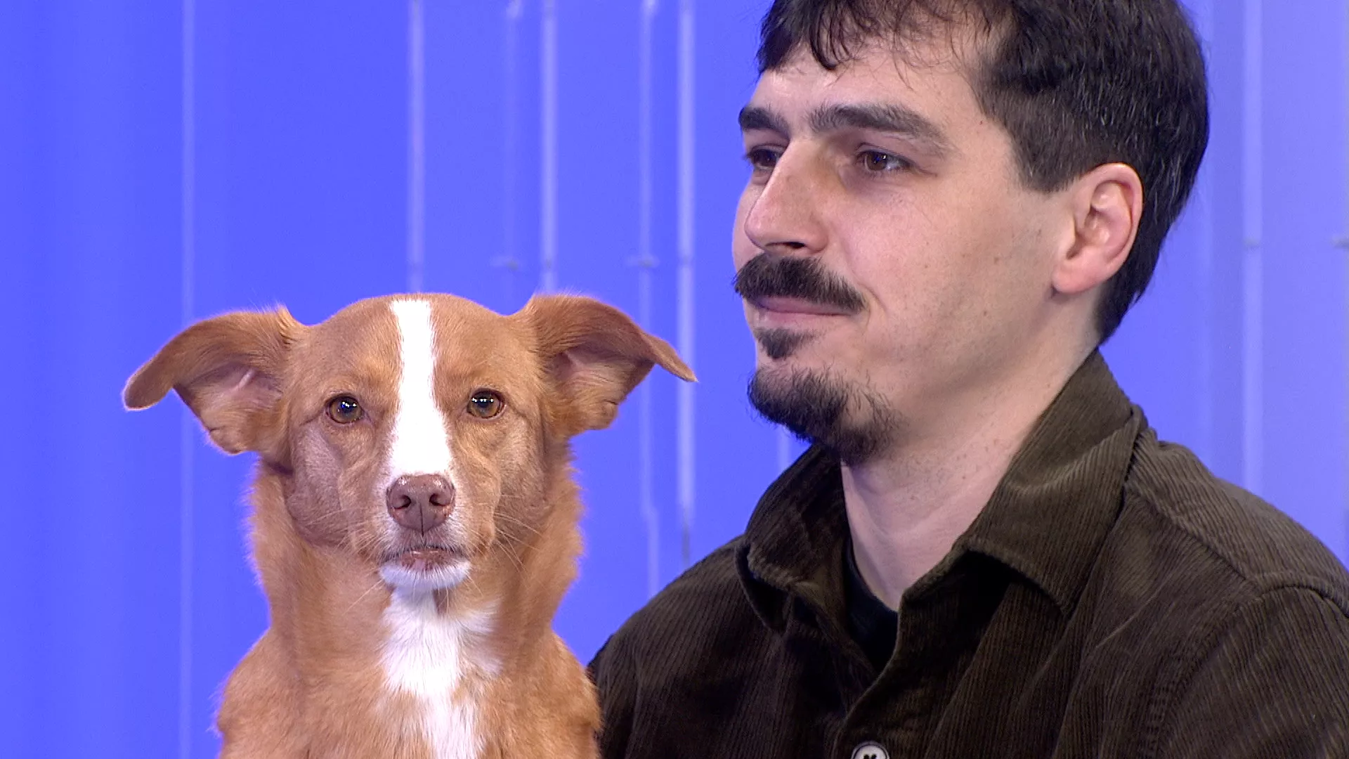 Velika iluzija: Nove, stare priče, filmski program