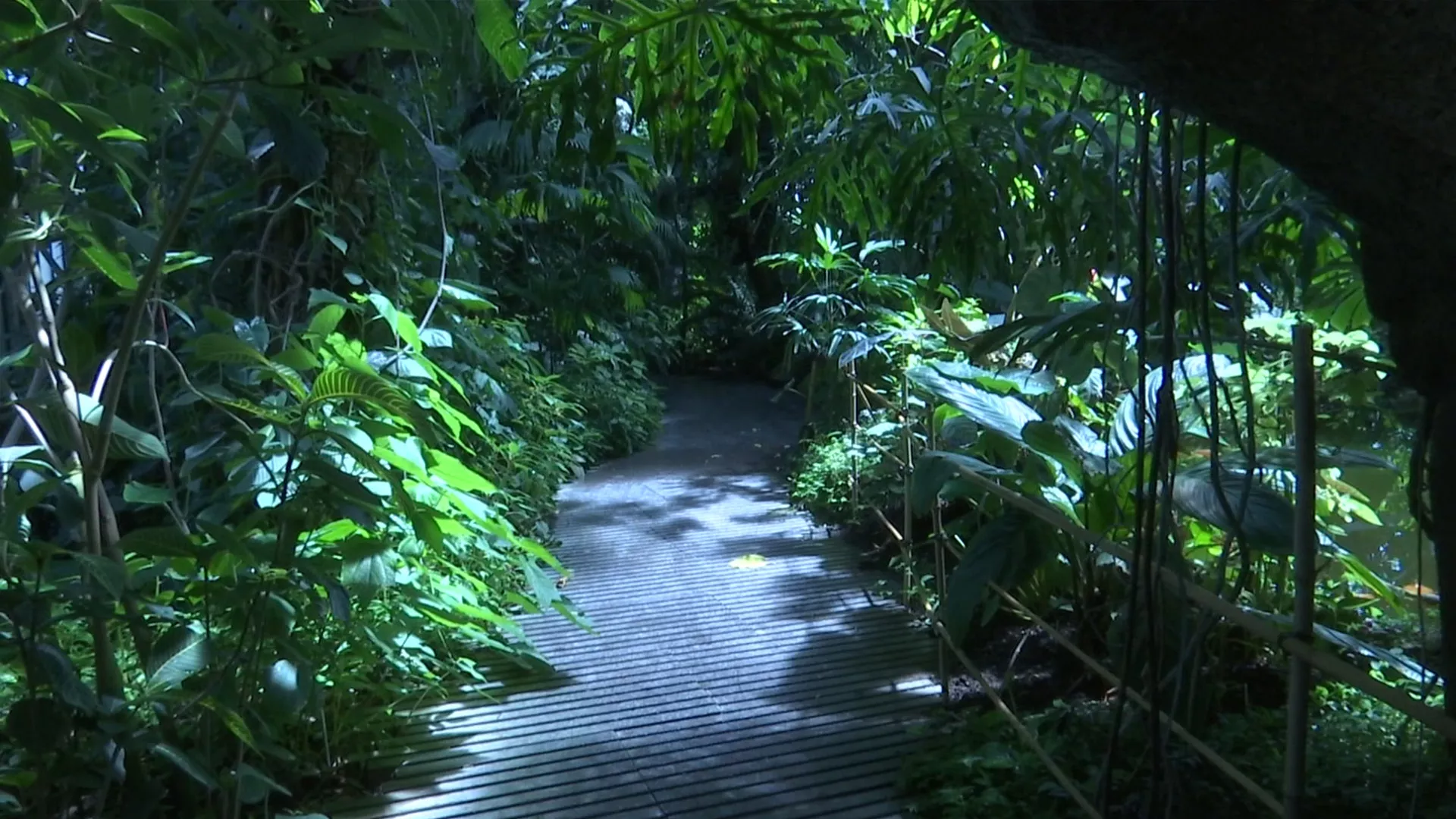 Zelena Evropa: Pariz, 2. deo