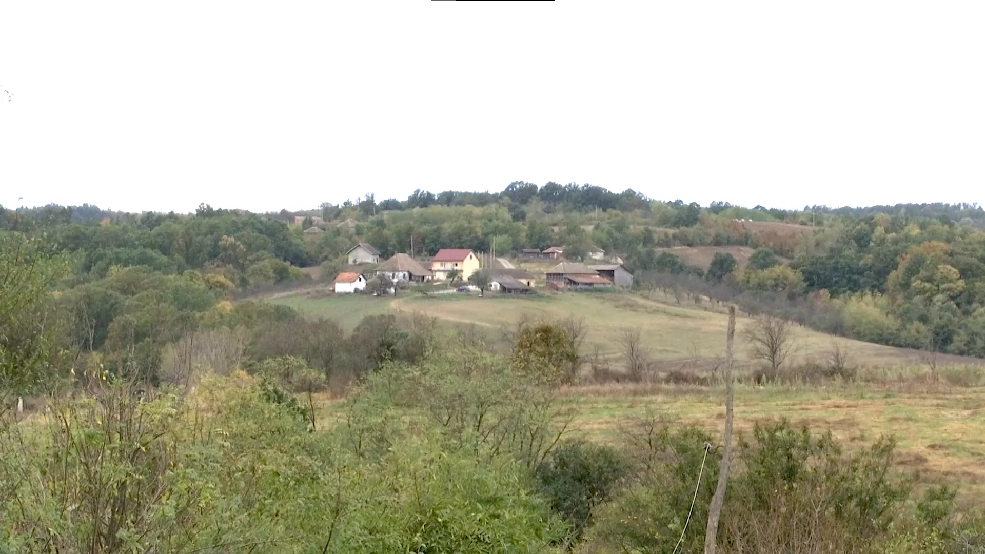 Pambukovica – nekad i sad